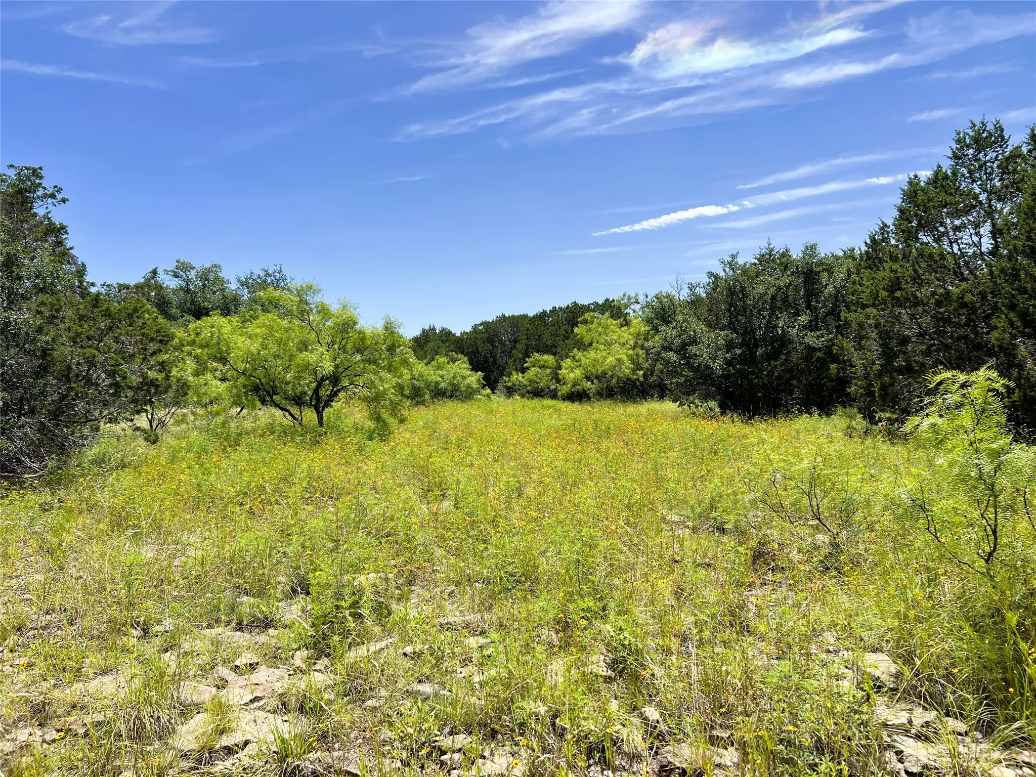 Expansive open-air lot featuring natural ground cover, mature trees at the perimeter, and a clear blue sky