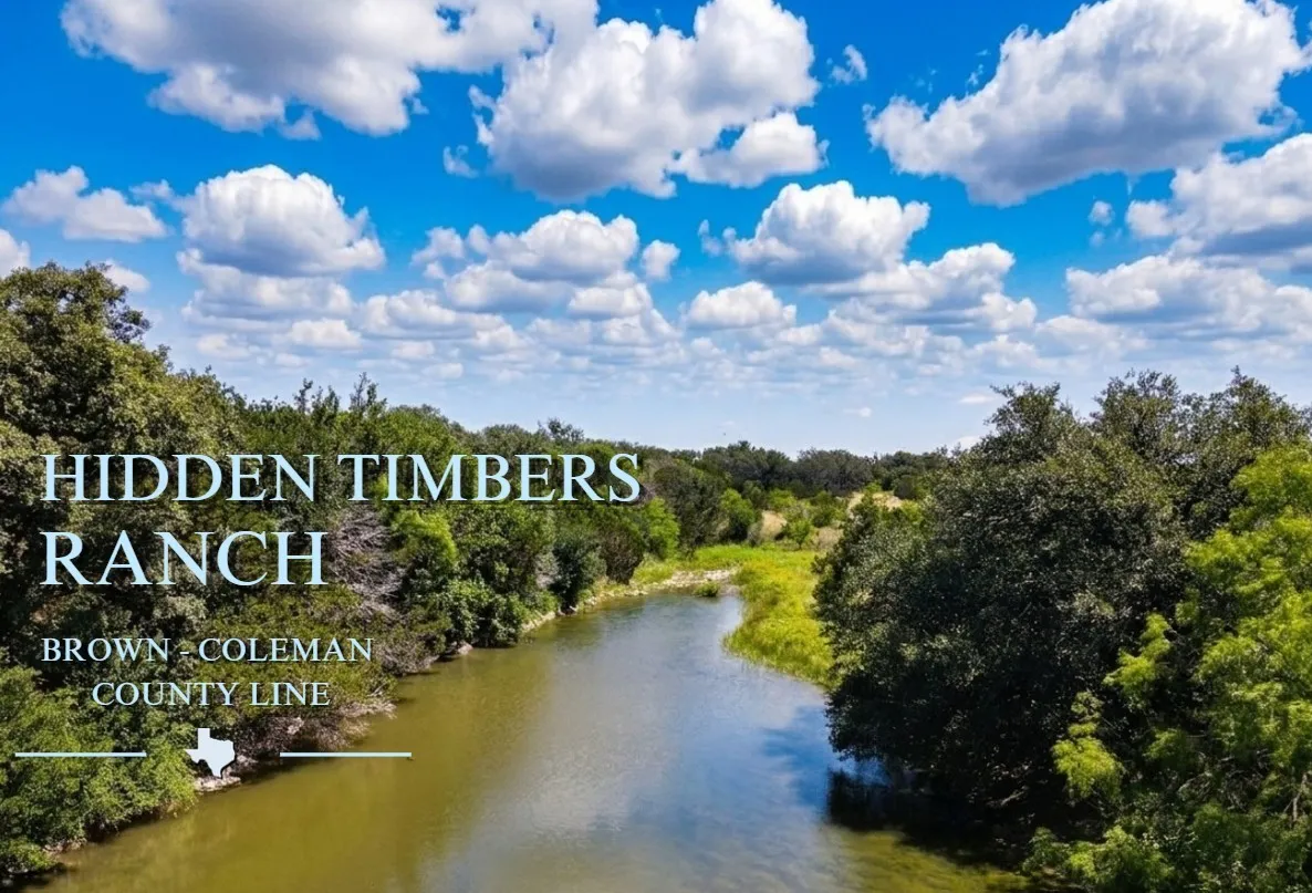 Ranch For Sale in Brown County , 12493 County Road 222, Brookesmith, Texas 76827, 0, 0, Garage spaces, 0 Sqft, built in 0, mls#21299072, Real Estate Agent in Brookesmith, Homes For Sale in Brown county, Homes For Sale in Brookesmith, Realtor in Brookesmith Texas, Real Estate Brokerage Independent Realty Texas, Luminita Cordes Realtor