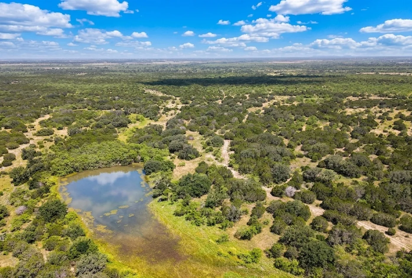 Expansive acreage featuring a natural pond, abundant mature trees, and varying topography