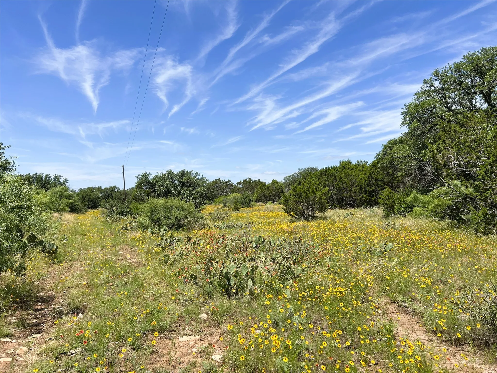 Expansive natural landscape featuring varied vegetation, including mature trees and flowering groundcover