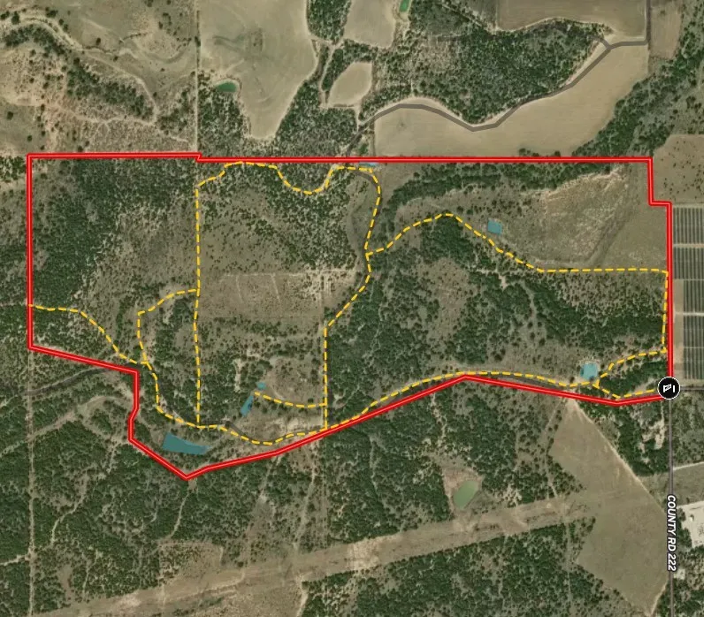 Survey Map. Illustrating the property boundary and internal divisions