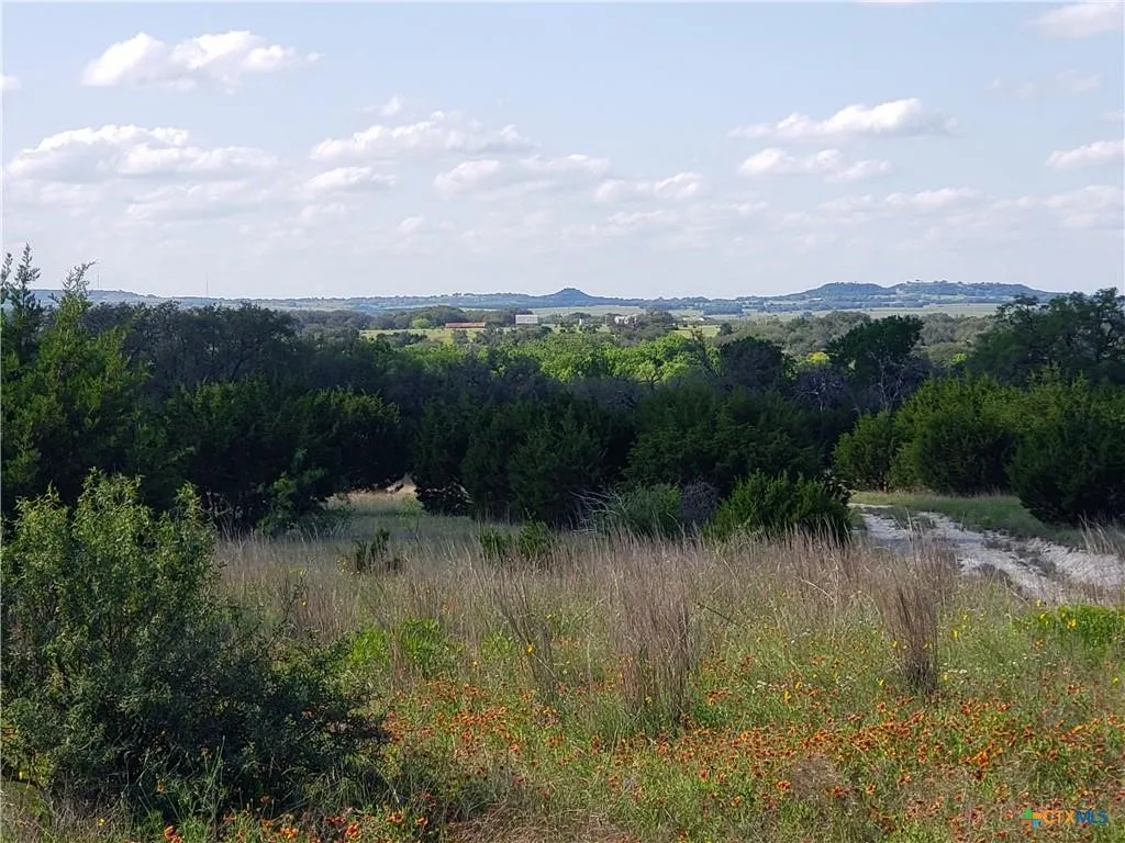 Unimproved Land For Sale in Lampasas County , TBD County Road 1255 500 Acres, Lampasas, Texas 76550, 0, 0, Garage spaces, 0 Sqft, built in 0, Price $3,950,000, mls#21298077, Real Estate Agent in Lampasas, Homes For Sale in Lampasas county, Homes For Sale in Lampasas, Realtor in Lampasas Texas, Real Estate Brokerage Independent Realty Texas, Luminita Cordes Realtor