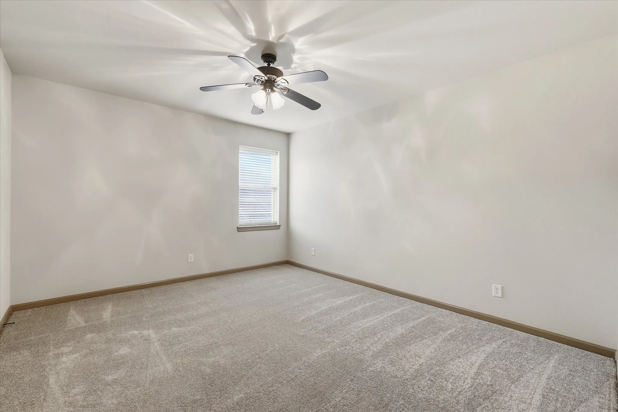 Carpeted room featuring a ceiling fan with integrated lighting, a window with blinds, and light-toned walls