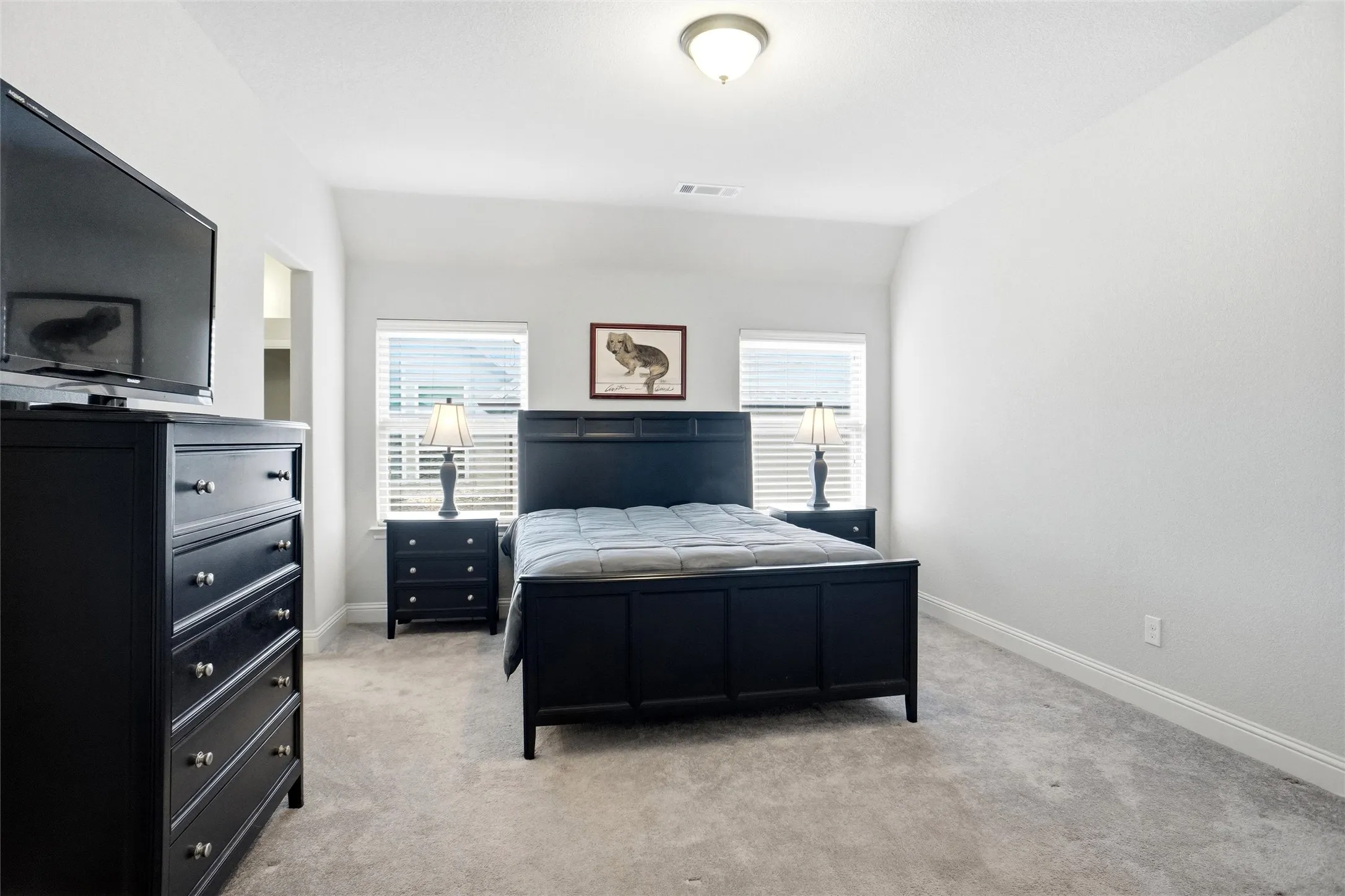 Bright room featuring light gray carpeting, neutral wall finishes, and a single ceiling-mounted light fixture