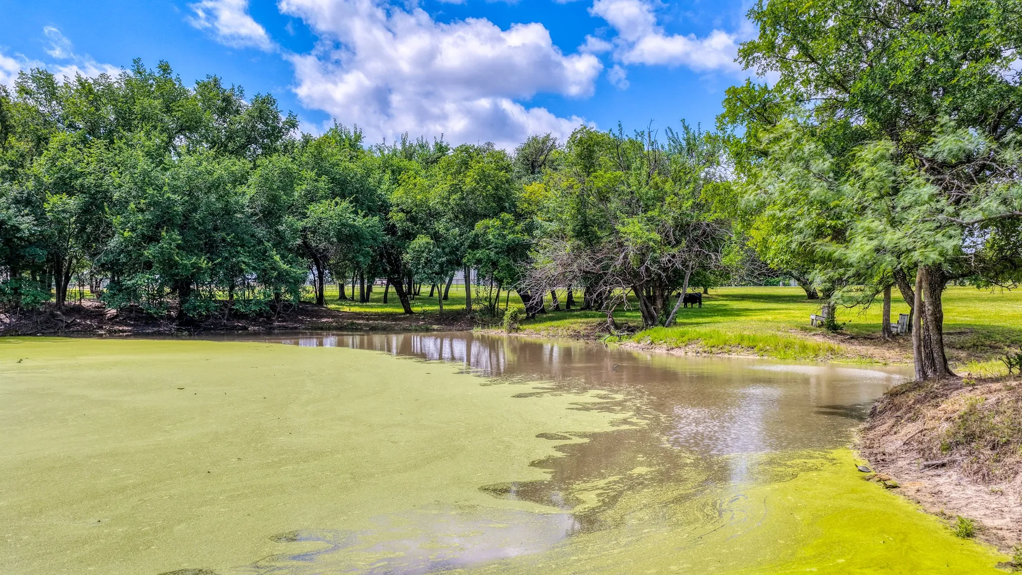 Single Family Residence For Sale in Parker County , 1275 Old Reno Road, Reno, Texas 76082, 4 Bedroom, 5 Bathroom, 4 Garage spaces, 2,917 Sqft, built in 1996, mls#21294711, Real Estate Agent in Reno, Homes For Sale in Parker county, Homes For Sale in Reno, Realtor in Reno Texas, Real Estate Brokerage Independent Realty Texas, Luminita Cordes Realtor
