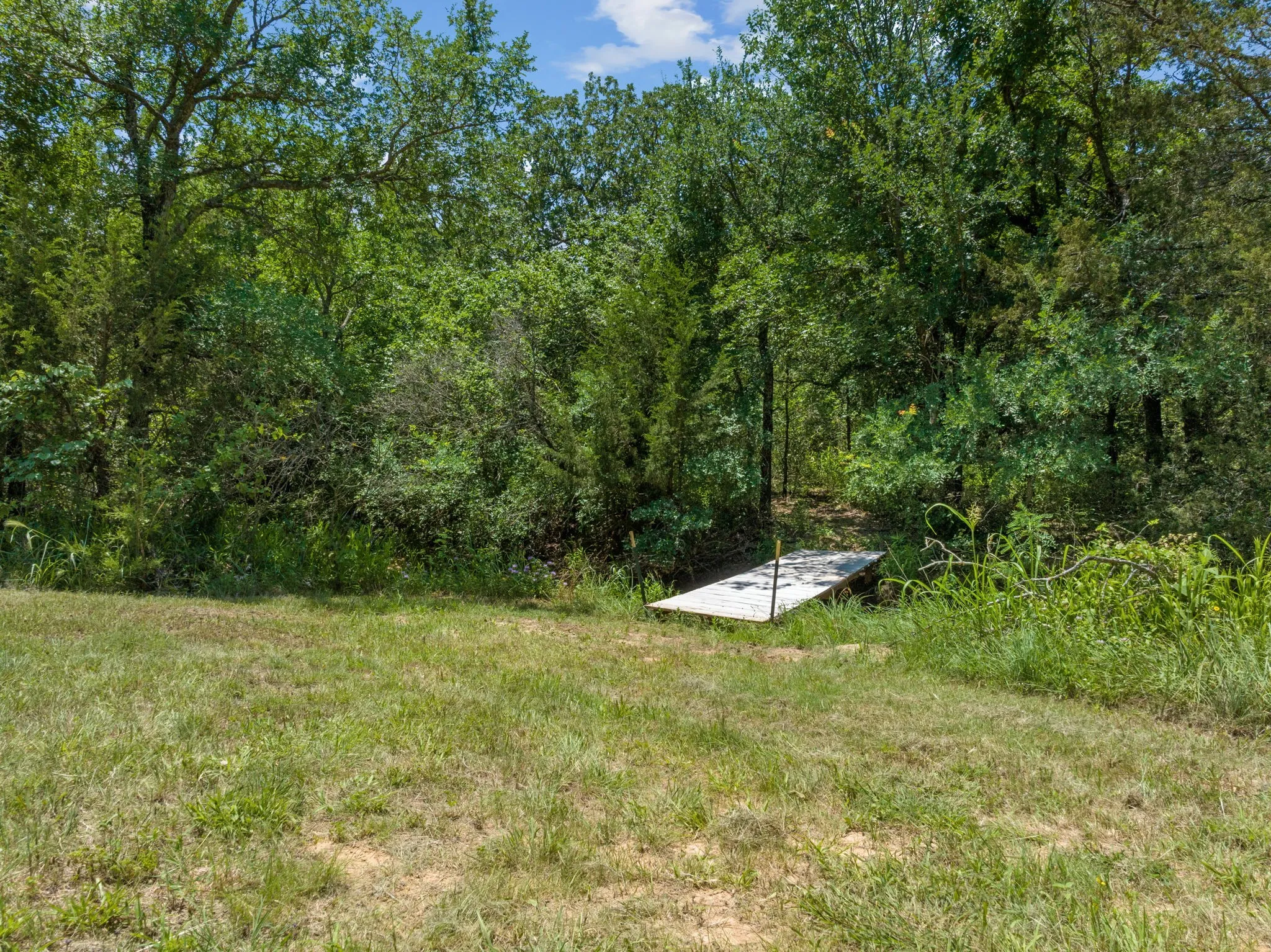 Unimproved Land For Sale in Wise County , 1385 CR-1340, Chico, Texas 76431, 0, 0, Garage spaces, 0 Sqft, built in 0, mls#21299193, Real Estate Agent in Chico, Homes For Sale in Wise county, Homes For Sale in Chico, Realtor in Chico Texas, Real Estate Brokerage Independent Realty Texas, Luminita Cordes Realtor