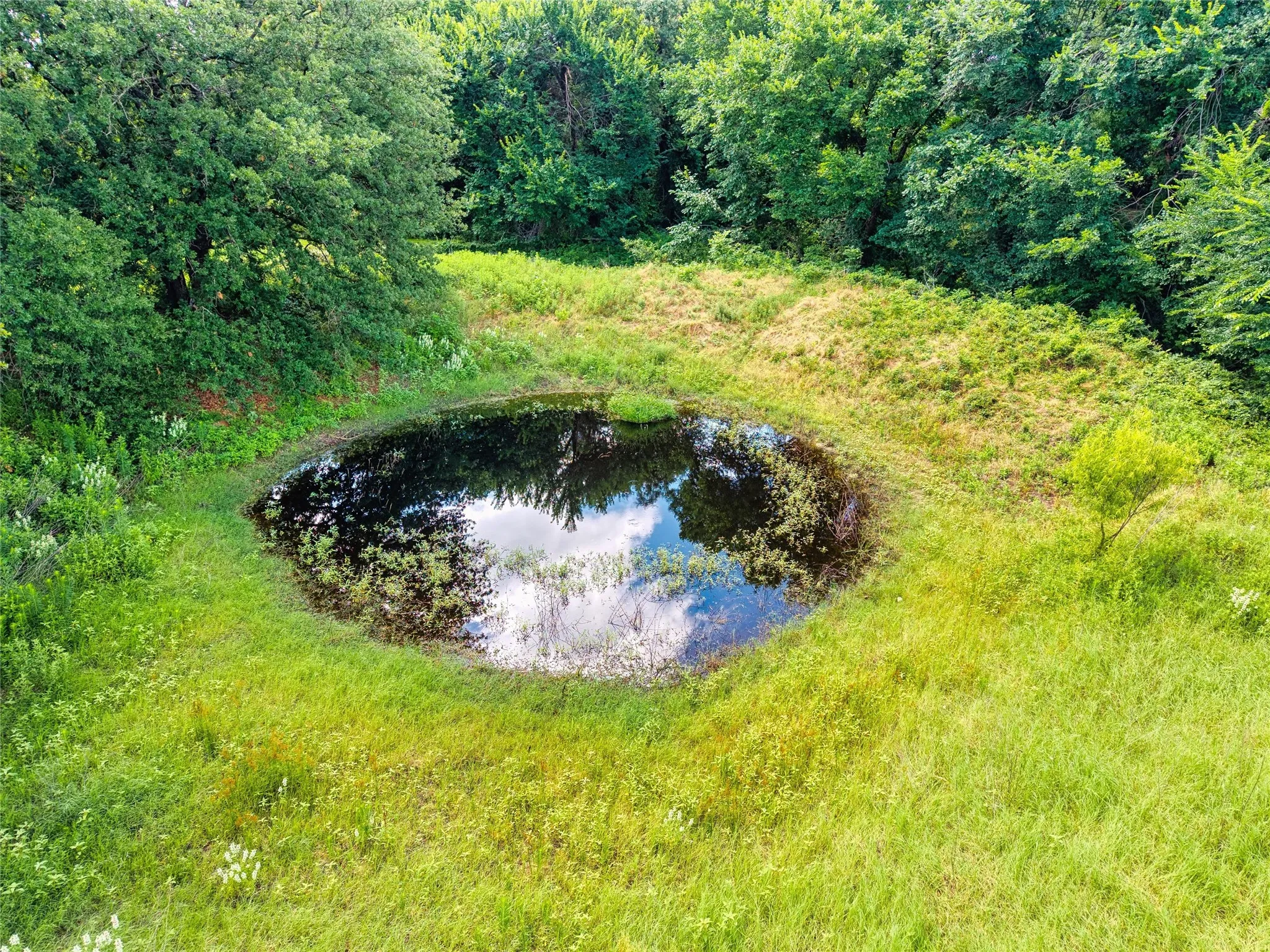Small pond