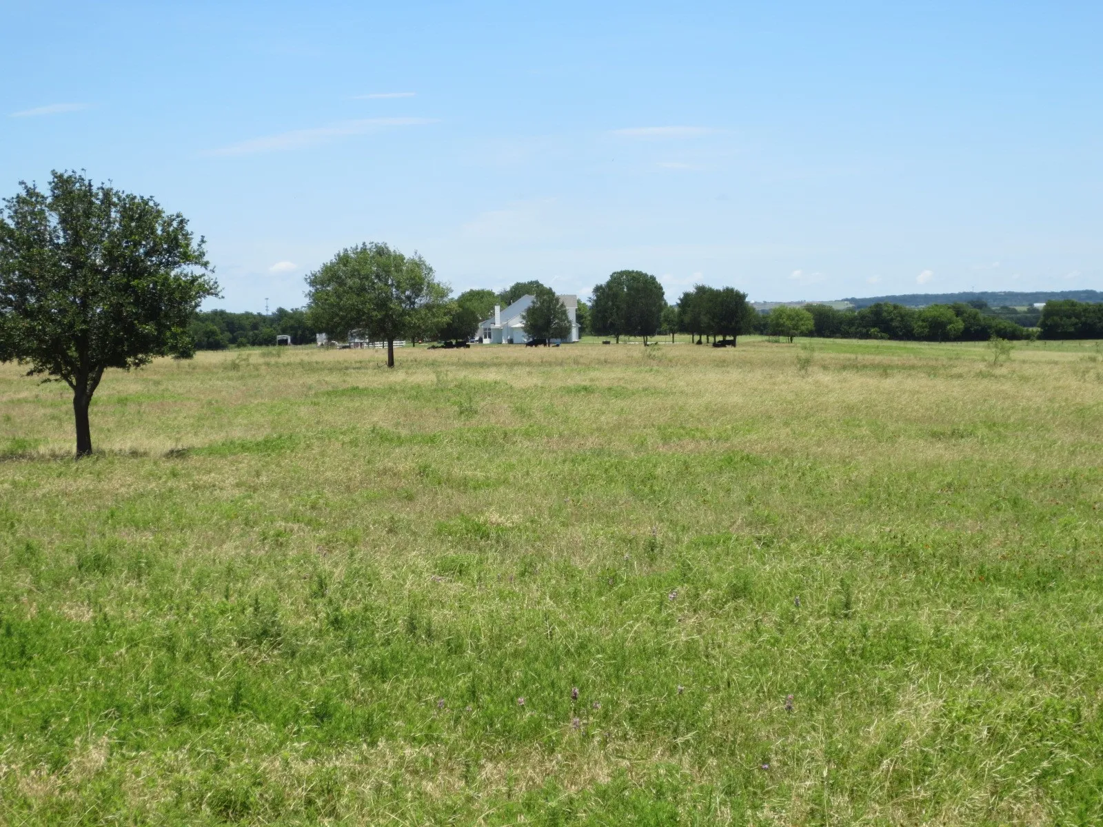 Unimproved Land For Sale in Mc Lennan County , tbd1 Church Road, Mc Gregor, Texas 76657, 0, 0, Garage spaces, 0 Sqft, built in 0, mls#21299282, Real Estate Agent in Mc Gregor, Homes For Sale in Mc Lennan county, Homes For Sale in Mc Gregor, Realtor in Mc Gregor Texas, Real Estate Brokerage Independent Realty Texas, Luminita Cordes Realtor