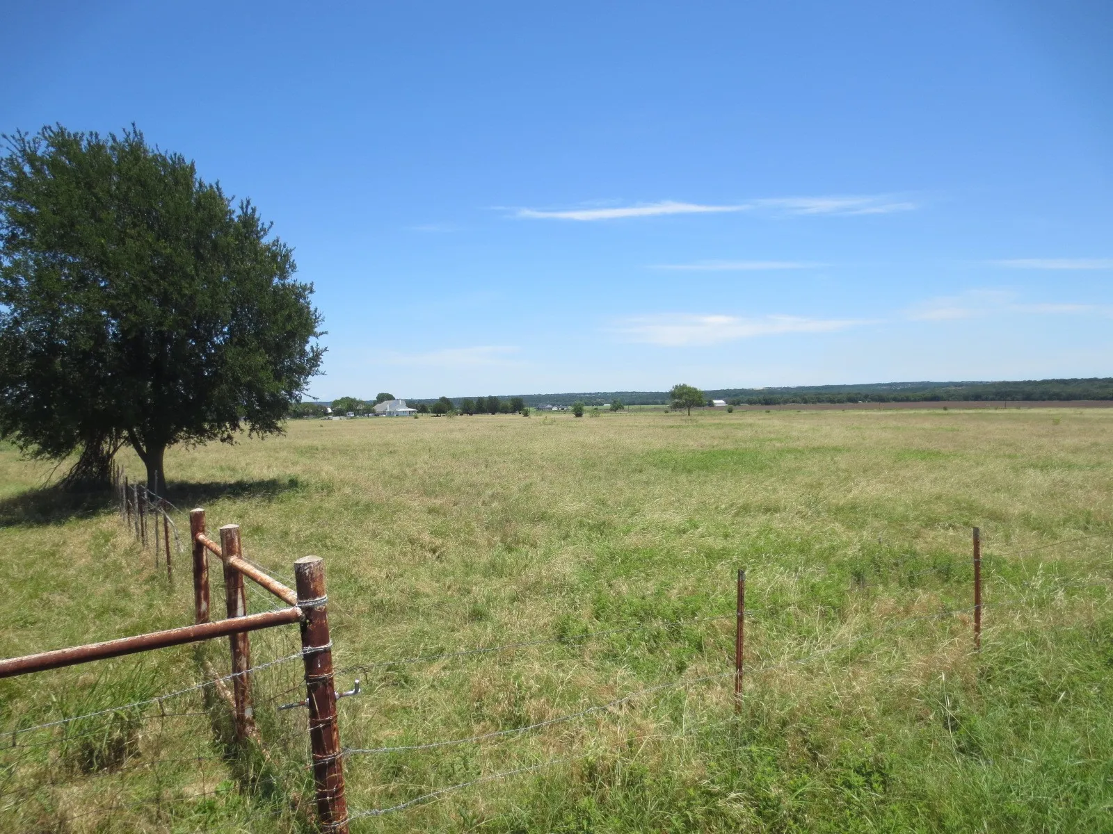 Unimproved Land For Sale in Mc Lennan County , tbd Church Road, Mc Gregor, Texas 76657, 0, 0, Garage spaces, 0 Sqft, built in 0, Price $511,500, mls#21299269, Real Estate Agent in Mc Gregor, Homes For Sale in Mc Lennan county, Homes For Sale in Mc Gregor, Realtor in Mc Gregor Texas, Real Estate Brokerage Independent Realty Texas, Luminita Cordes Realtor