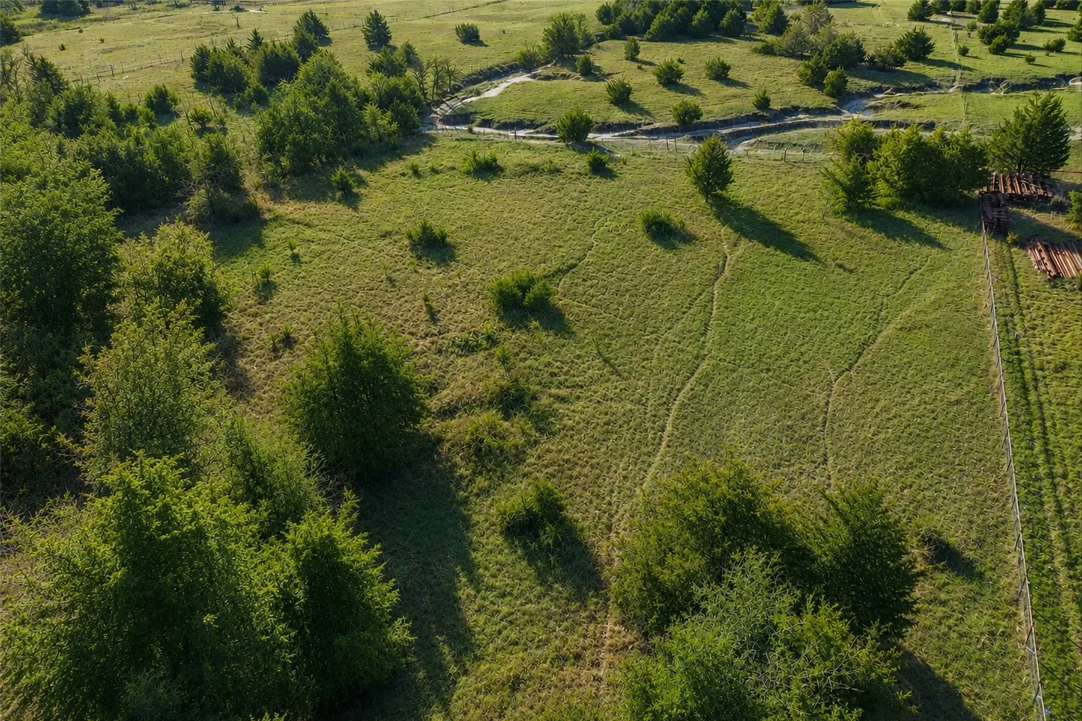 Unimproved Land For Sale in Collin County , 2160 County Road 658, Farmersville, Texas 75442, 0, 0, Garage spaces, 0 Sqft, built in 0, Price $269,900, mls#21298673, Real Estate Agent in Farmersville, Homes For Sale in Collin county, Homes For Sale in Farmersville, Realtor in Farmersville Texas, Real Estate Brokerage Independent Realty Texas, Luminita Cordes Realtor