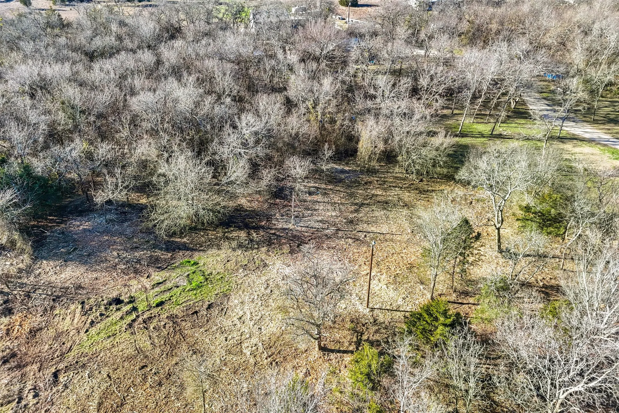 Unimproved Land For Sale in Collin County , 2160 County Road 658, Farmersville, Texas 75442, 0, 0, Garage spaces, 0 Sqft, built in 0, Price $269,900, mls#21298673, Real Estate Agent in Farmersville, Homes For Sale in Collin county, Homes For Sale in Farmersville, Realtor in Farmersville Texas, Real Estate Brokerage Independent Realty Texas, Luminita Cordes Realtor