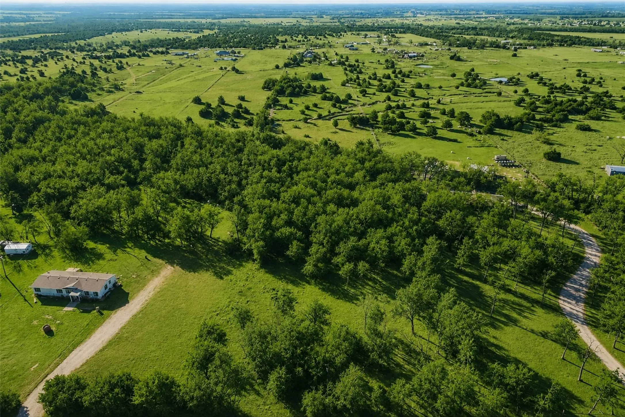 Unimproved Land For Sale in Collin County , 2160 County Road 658, Farmersville, Texas 75442, 0, 0, Garage spaces, 0 Sqft, built in 0, Price $269,900, mls#21298673, Real Estate Agent in Farmersville, Homes For Sale in Collin county, Homes For Sale in Farmersville, Realtor in Farmersville Texas, Real Estate Brokerage Independent Realty Texas, Luminita Cordes Realtor