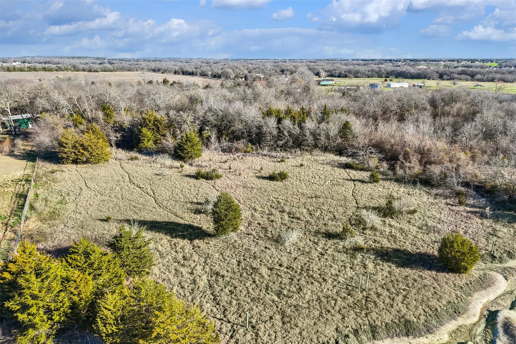 Unimproved Land For Sale in Collin County , 2160 County Road 658, Farmersville, Texas 75442, 0, 0, Garage spaces, 0 Sqft, built in 0, Price $269,900, mls#21298673, Real Estate Agent in Farmersville, Homes For Sale in Collin county, Homes For Sale in Farmersville, Realtor in Farmersville Texas, Real Estate Brokerage Independent Realty Texas, Luminita Cordes Realtor