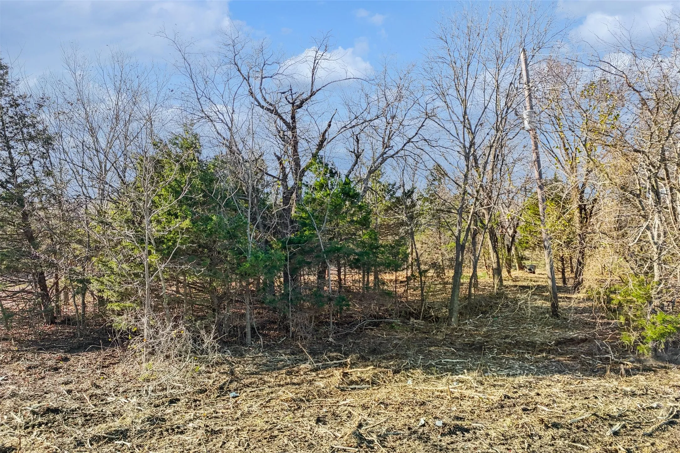 Unimproved Land For Sale in Collin County , 2160 County Road 658, Farmersville, Texas 75442, 0, 0, Garage spaces, 0 Sqft, built in 0, Price $269,900, mls#21298673, Real Estate Agent in Farmersville, Homes For Sale in Collin county, Homes For Sale in Farmersville, Realtor in Farmersville Texas, Real Estate Brokerage Independent Realty Texas, Luminita Cordes Realtor