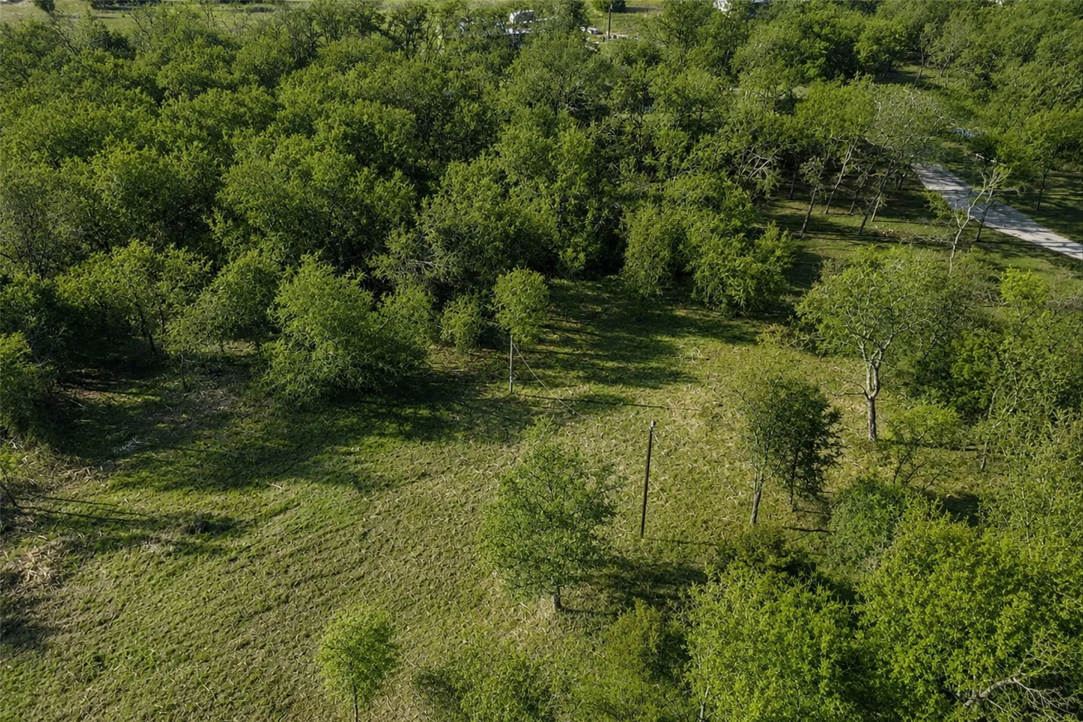 Unimproved Land For Sale in Collin County , 2160 County Road 658, Farmersville, Texas 75442, 0, 0, Garage spaces, 0 Sqft, built in 0, Price $269,900, mls#21298673, Real Estate Agent in Farmersville, Homes For Sale in Collin county, Homes For Sale in Farmersville, Realtor in Farmersville Texas, Real Estate Brokerage Independent Realty Texas, Luminita Cordes Realtor