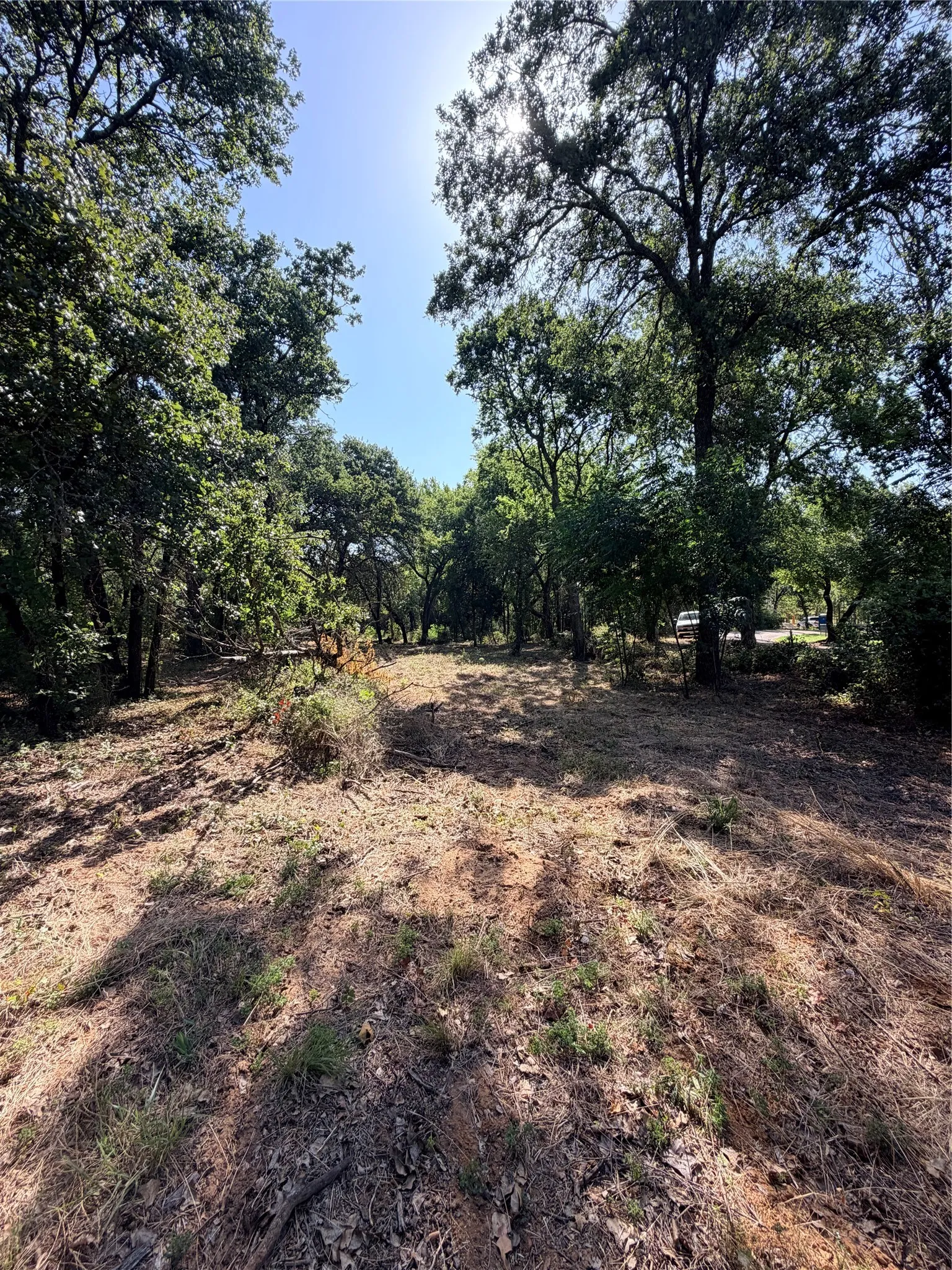 Unimproved Land For Sale in Johnson County , 2305 County Road 425c, Cleburne, Texas 76031, 0, 0, Garage spaces, 0 Sqft, built in 0, mls#21299446, Real Estate Agent in Cleburne, Homes For Sale in Johnson county, Homes For Sale in Cleburne, Realtor in Cleburne Texas, Real Estate Brokerage Independent Realty Texas, Luminita Cordes Realtor