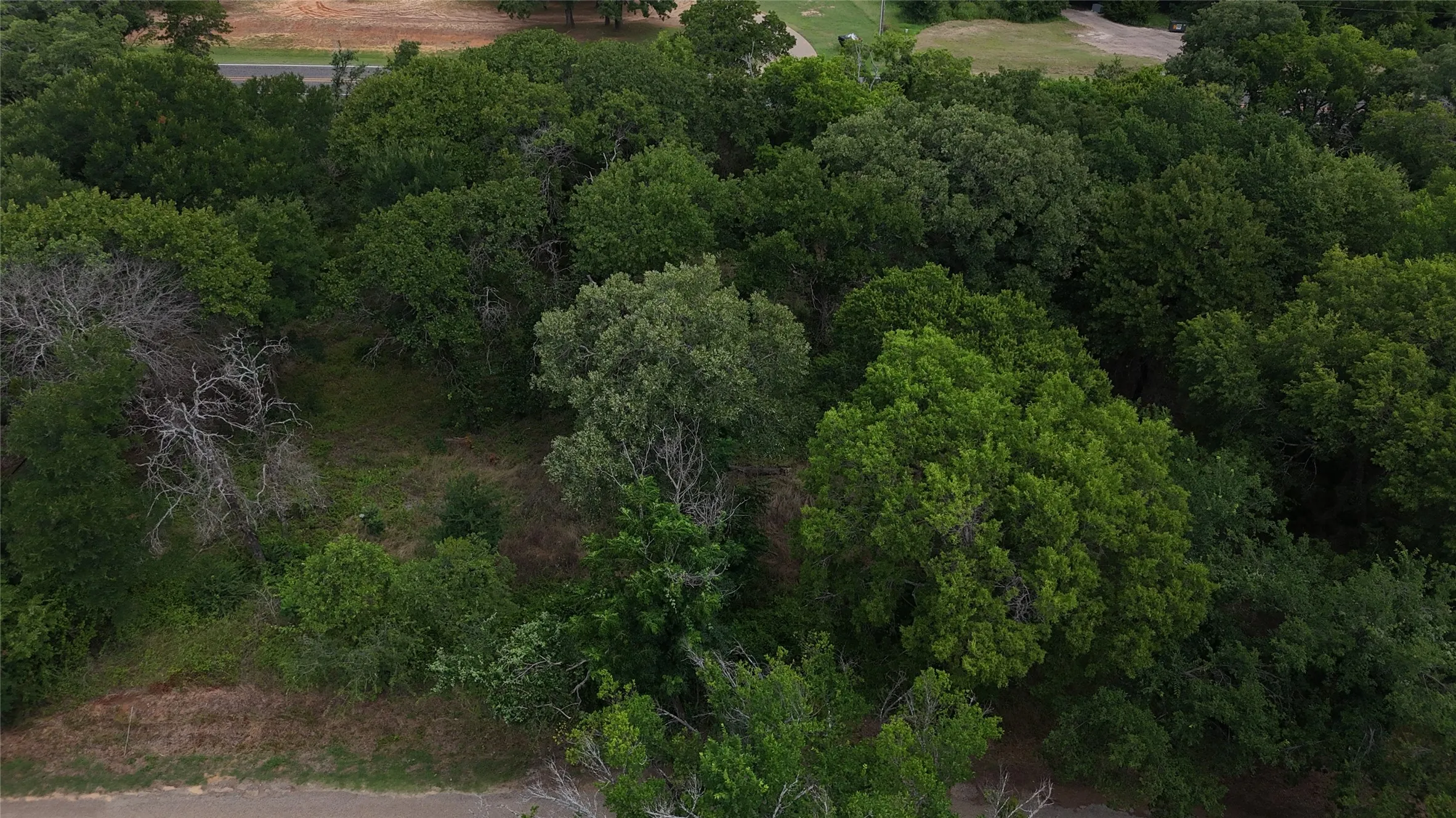 Unimproved Land For Sale in Johnson County , 2305 County Road 425c, Cleburne, Texas 76031, 0, 0, Garage spaces, 0 Sqft, built in 0, mls#21299446, Real Estate Agent in Cleburne, Homes For Sale in Johnson county, Homes For Sale in Cleburne, Realtor in Cleburne Texas, Real Estate Brokerage Independent Realty Texas, Luminita Cordes Realtor