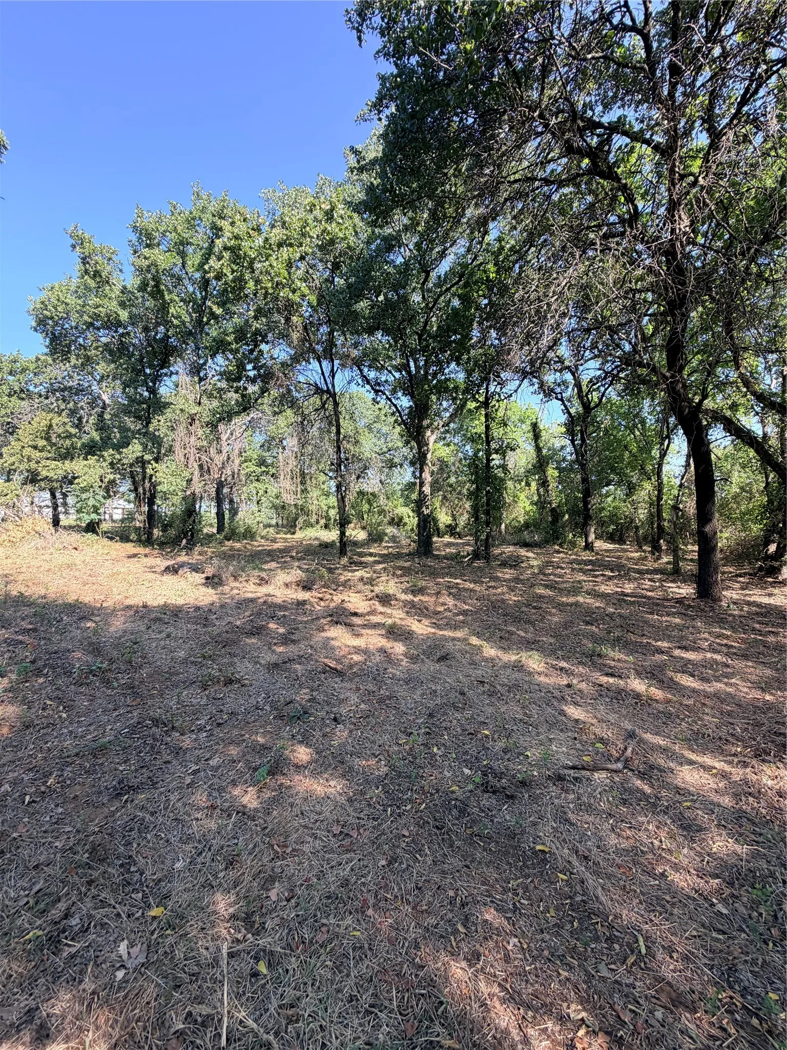 Unimproved Land For Sale in Johnson County , 2305 County Road 425c, Cleburne, Texas 76031, 0, 0, Garage spaces, 0 Sqft, built in 0, mls#21299446, Real Estate Agent in Cleburne, Homes For Sale in Johnson county, Homes For Sale in Cleburne, Realtor in Cleburne Texas, Real Estate Brokerage Independent Realty Texas, Luminita Cordes Realtor