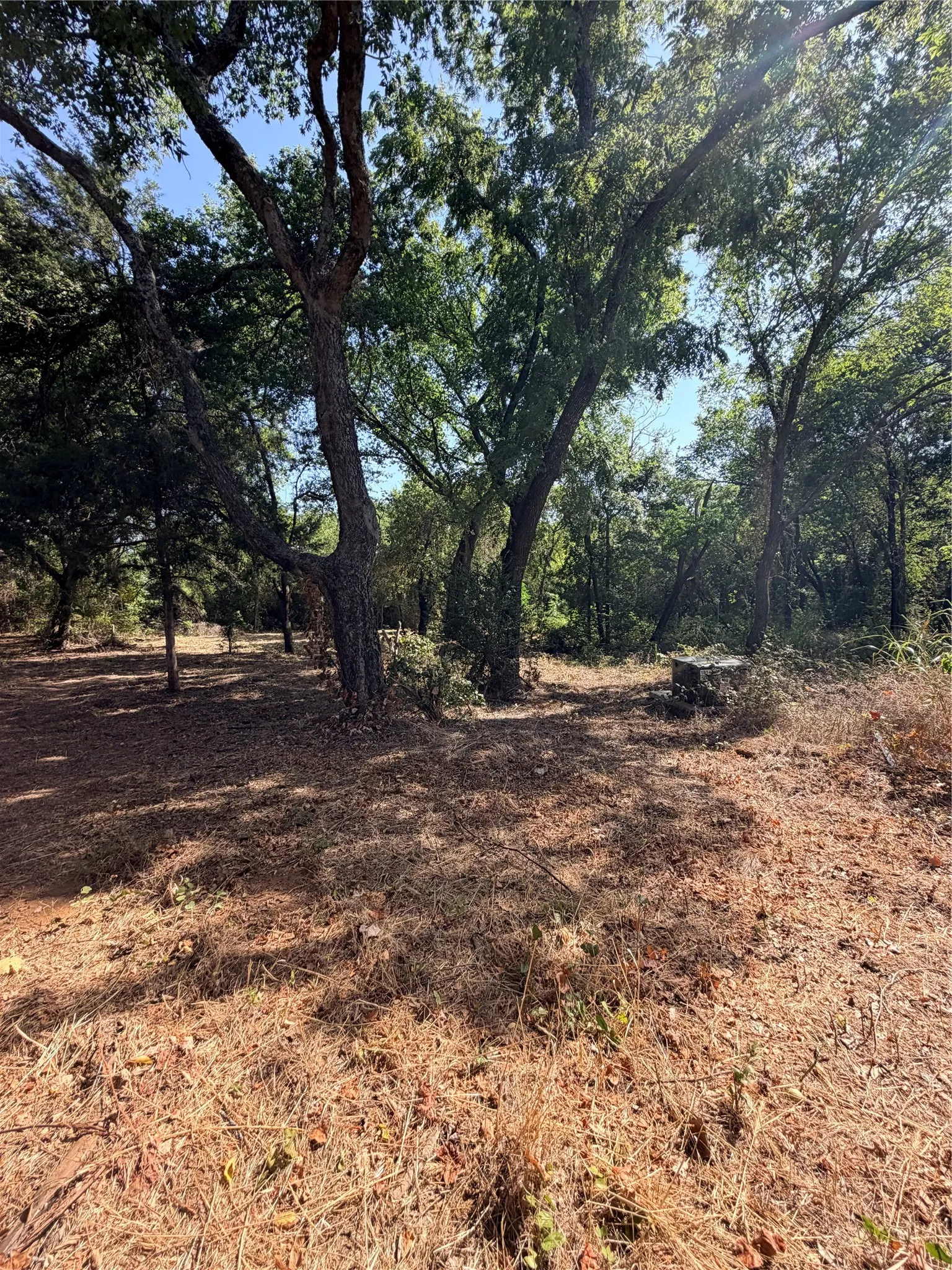 Unimproved Land For Sale in Johnson County , 2305 County Road 425c, Cleburne, Texas 76031, 0, 0, Garage spaces, 0 Sqft, built in 0, mls#21299446, Real Estate Agent in Cleburne, Homes For Sale in Johnson county, Homes For Sale in Cleburne, Realtor in Cleburne Texas, Real Estate Brokerage Independent Realty Texas, Luminita Cordes Realtor