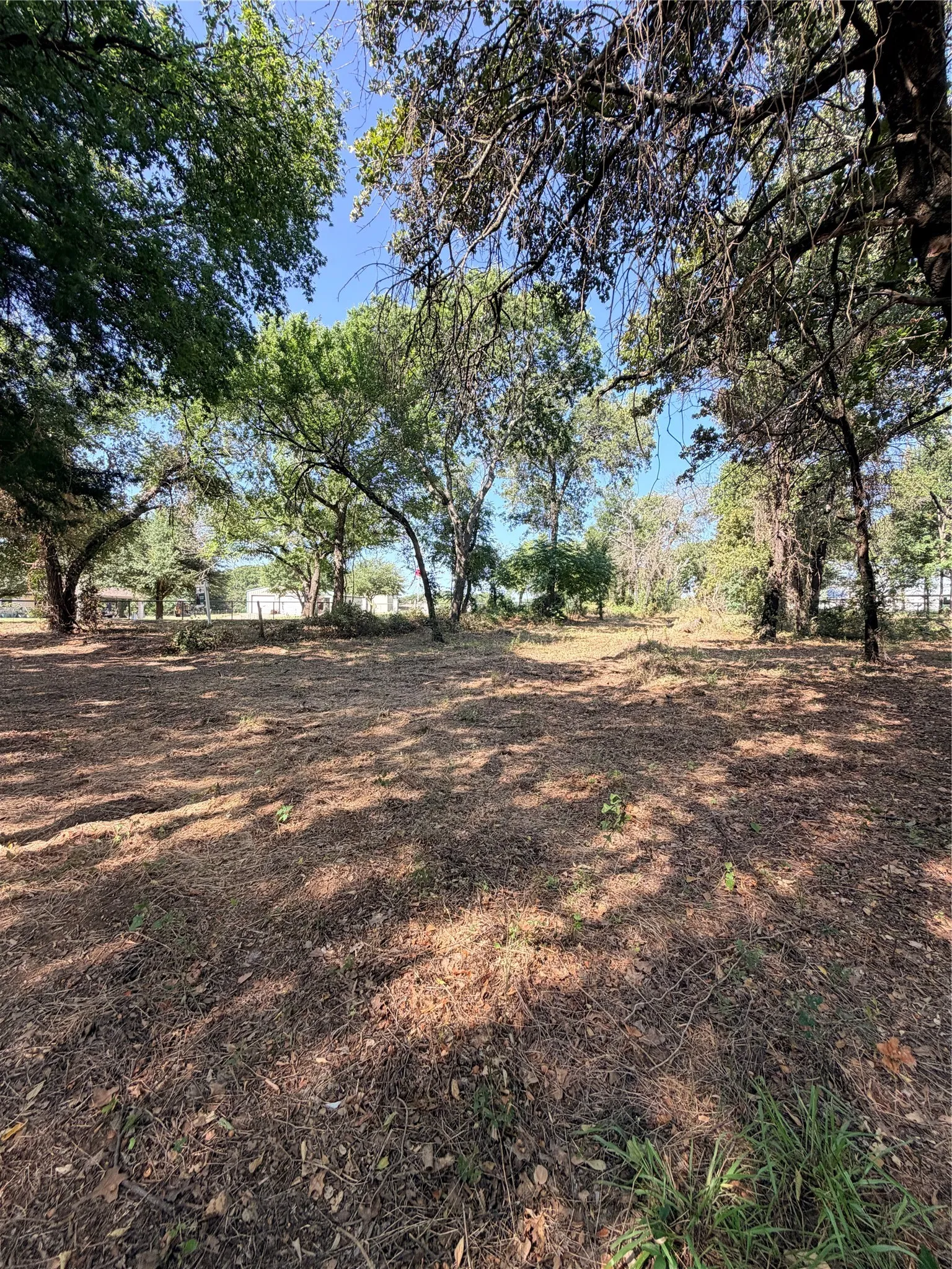 Unimproved Land For Sale in Johnson County , 2305 County Road 425c, Cleburne, Texas 76031, 0, 0, Garage spaces, 0 Sqft, built in 0, mls#21299446, Real Estate Agent in Cleburne, Homes For Sale in Johnson county, Homes For Sale in Cleburne, Realtor in Cleburne Texas, Real Estate Brokerage Independent Realty Texas, Luminita Cordes Realtor