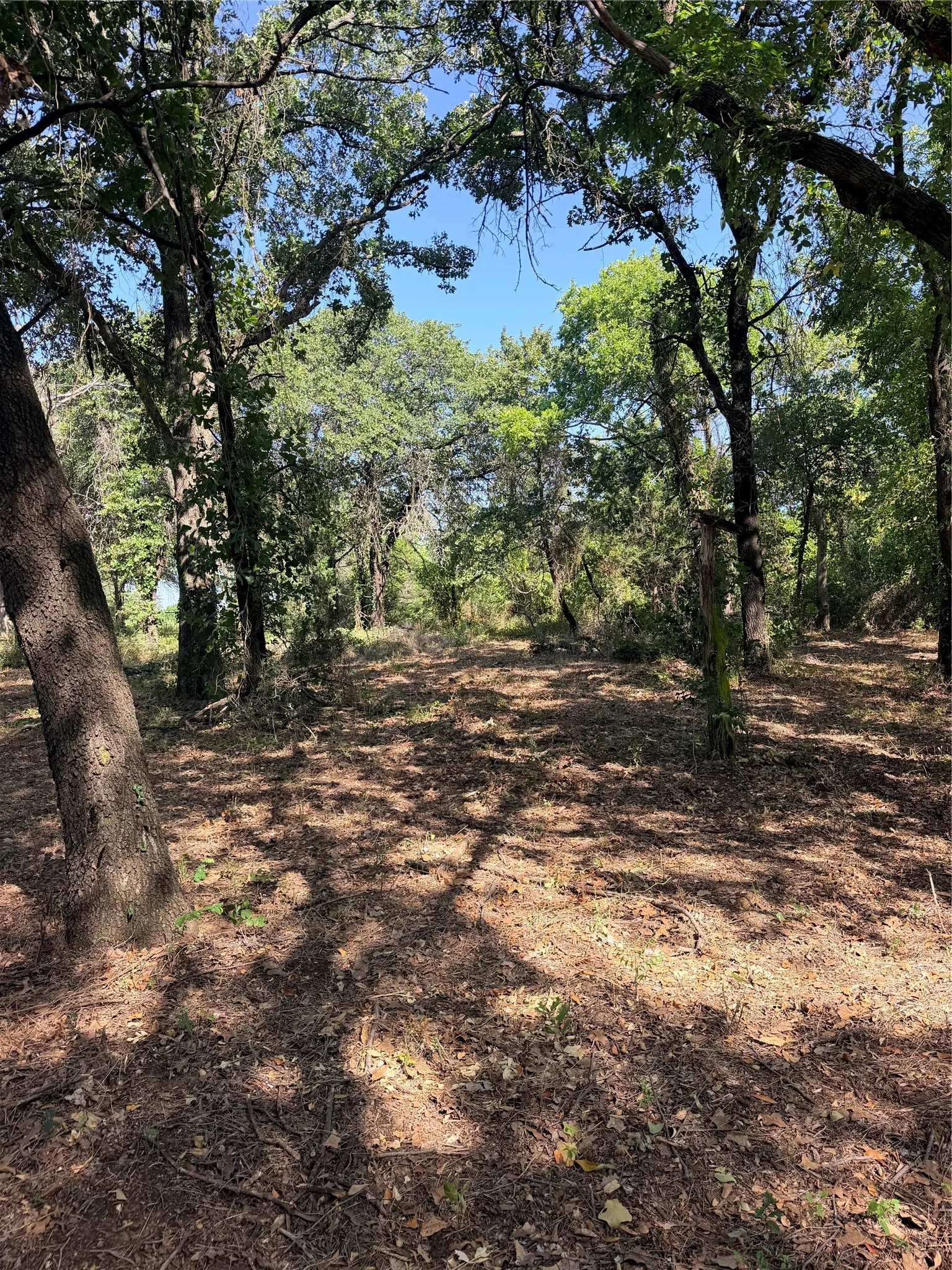 Unimproved Land For Sale in Johnson County , 2305 County Road 425c, Cleburne, Texas 76031, 0, 0, Garage spaces, 0 Sqft, built in 0, mls#21299446, Real Estate Agent in Cleburne, Homes For Sale in Johnson county, Homes For Sale in Cleburne, Realtor in Cleburne Texas, Real Estate Brokerage Independent Realty Texas, Luminita Cordes Realtor