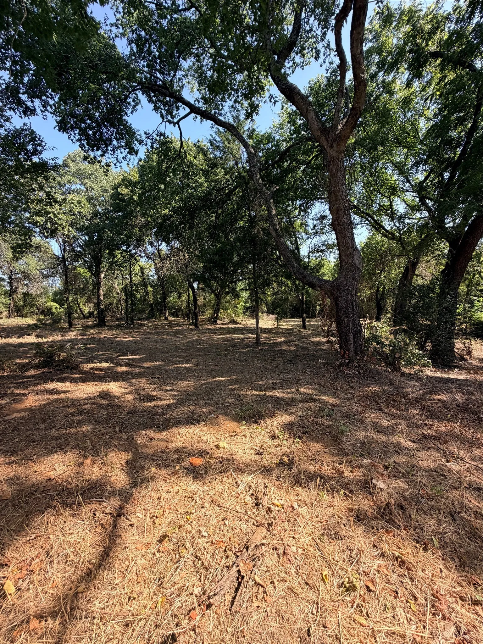 Unimproved Land For Sale in Johnson County , 2305 County Road 425c, Cleburne, Texas 76031, 0, 0, Garage spaces, 0 Sqft, built in 0, mls#21299446, Real Estate Agent in Cleburne, Homes For Sale in Johnson county, Homes For Sale in Cleburne, Realtor in Cleburne Texas, Real Estate Brokerage Independent Realty Texas, Luminita Cordes Realtor
