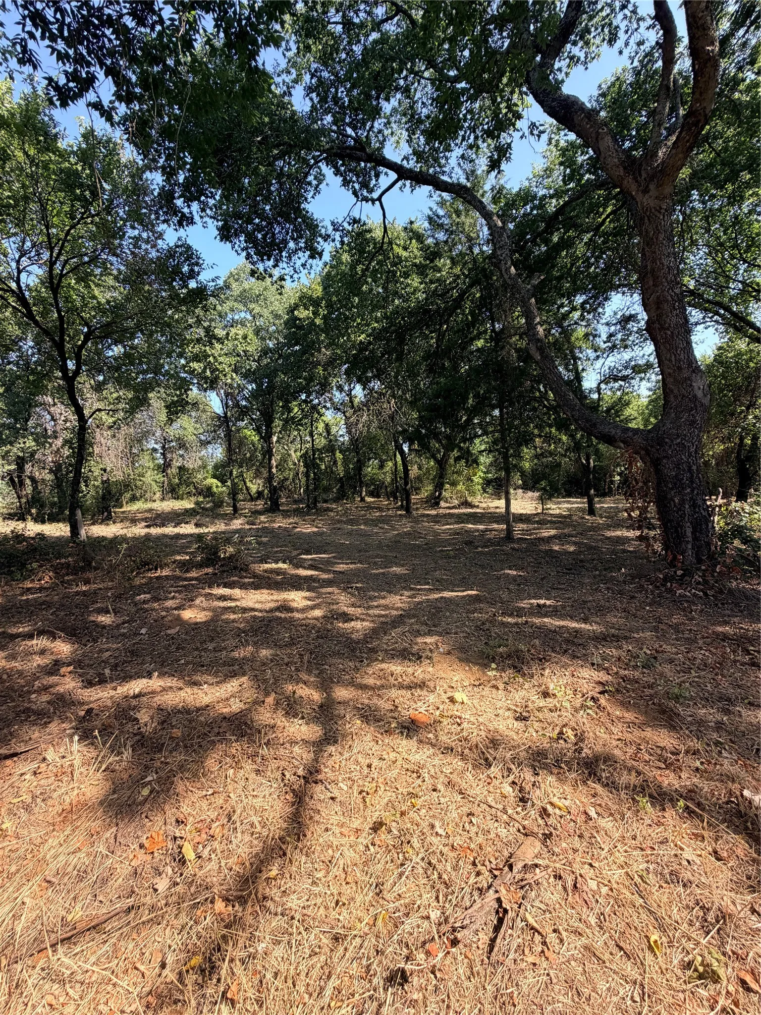 Unimproved Land For Sale in Johnson County , 2305 County Road 425c, Cleburne, Texas 76031, 0, 0, Garage spaces, 0 Sqft, built in 0, mls#21299446, Real Estate Agent in Cleburne, Homes For Sale in Johnson county, Homes For Sale in Cleburne, Realtor in Cleburne Texas, Real Estate Brokerage Independent Realty Texas, Luminita Cordes Realtor