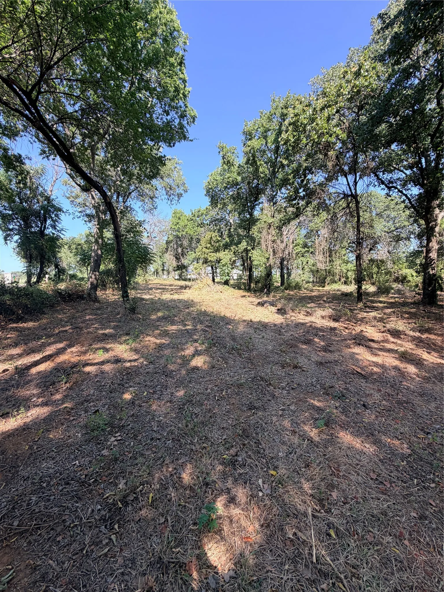 Unimproved Land For Sale in Johnson County , 2305 County Road 425c, Cleburne, Texas 76031, 0, 0, Garage spaces, 0 Sqft, built in 0, mls#21299446, Real Estate Agent in Cleburne, Homes For Sale in Johnson county, Homes For Sale in Cleburne, Realtor in Cleburne Texas, Real Estate Brokerage Independent Realty Texas, Luminita Cordes Realtor