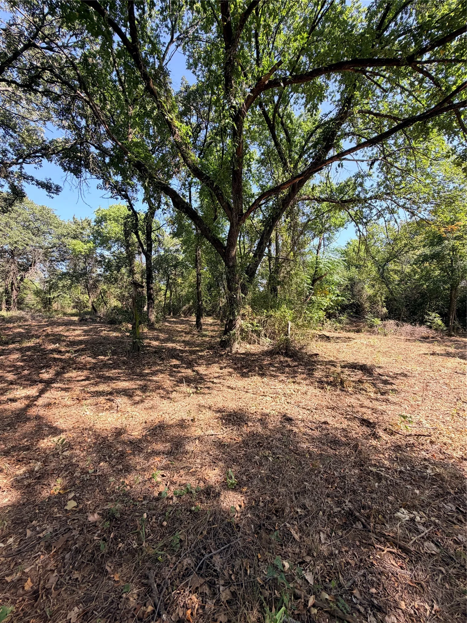 Unimproved Land For Sale in Johnson County , 2305 County Road 425c, Cleburne, Texas 76031, 0, 0, Garage spaces, 0 Sqft, built in 0, mls#21299446, Real Estate Agent in Cleburne, Homes For Sale in Johnson county, Homes For Sale in Cleburne, Realtor in Cleburne Texas, Real Estate Brokerage Independent Realty Texas, Luminita Cordes Realtor