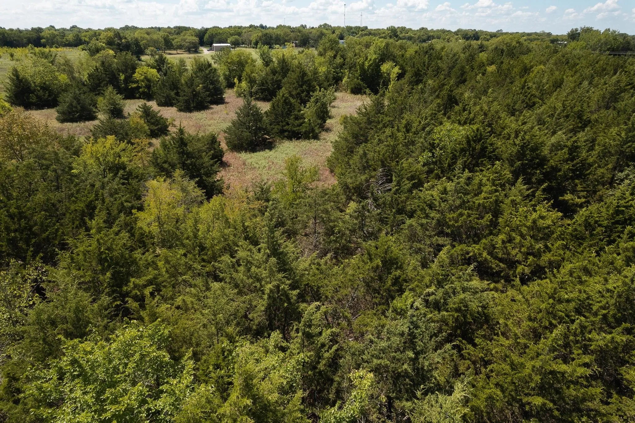 Unimproved Land For Sale in Grayson County , 40 Acres Turner Road, Bells, Texas 75414, 0, 0, Garage spaces, 0 Sqft, built in 0, mls#21299437, Real Estate Agent in Bells, Homes For Sale in Grayson county, Homes For Sale in Bells, Realtor in Bells Texas, Real Estate Brokerage Independent Realty Texas, Luminita Cordes Realtor