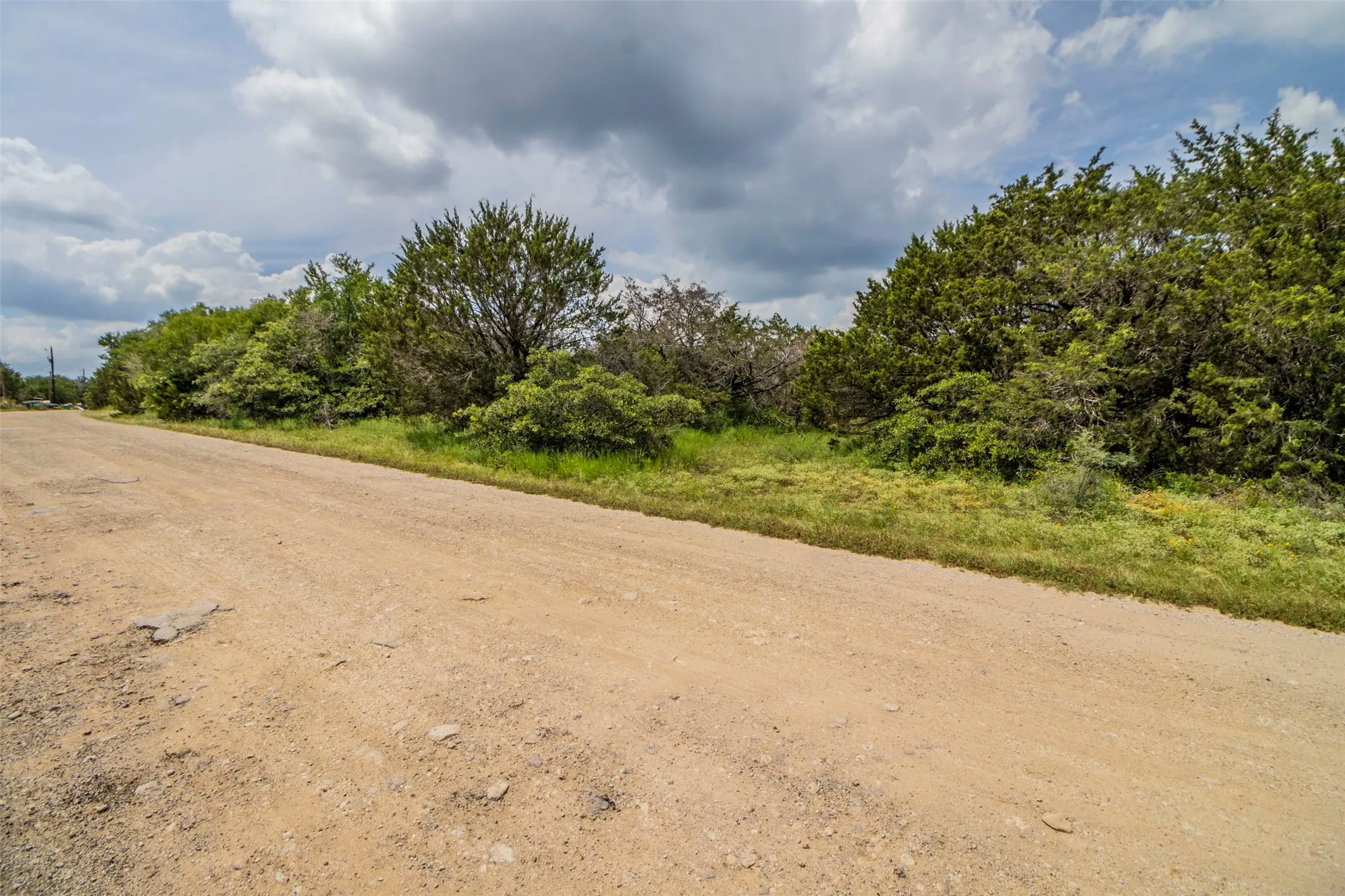 Rural dirt road paralleled by natural vegetation and mature trees, under a partially clouded sky