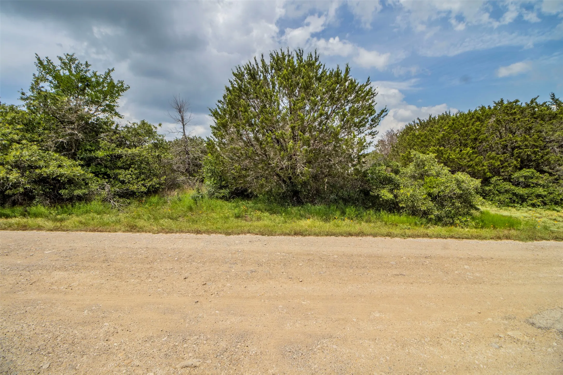 Unpaved road frontage bordered by natural landscaping with mature trees and varied shrubbery