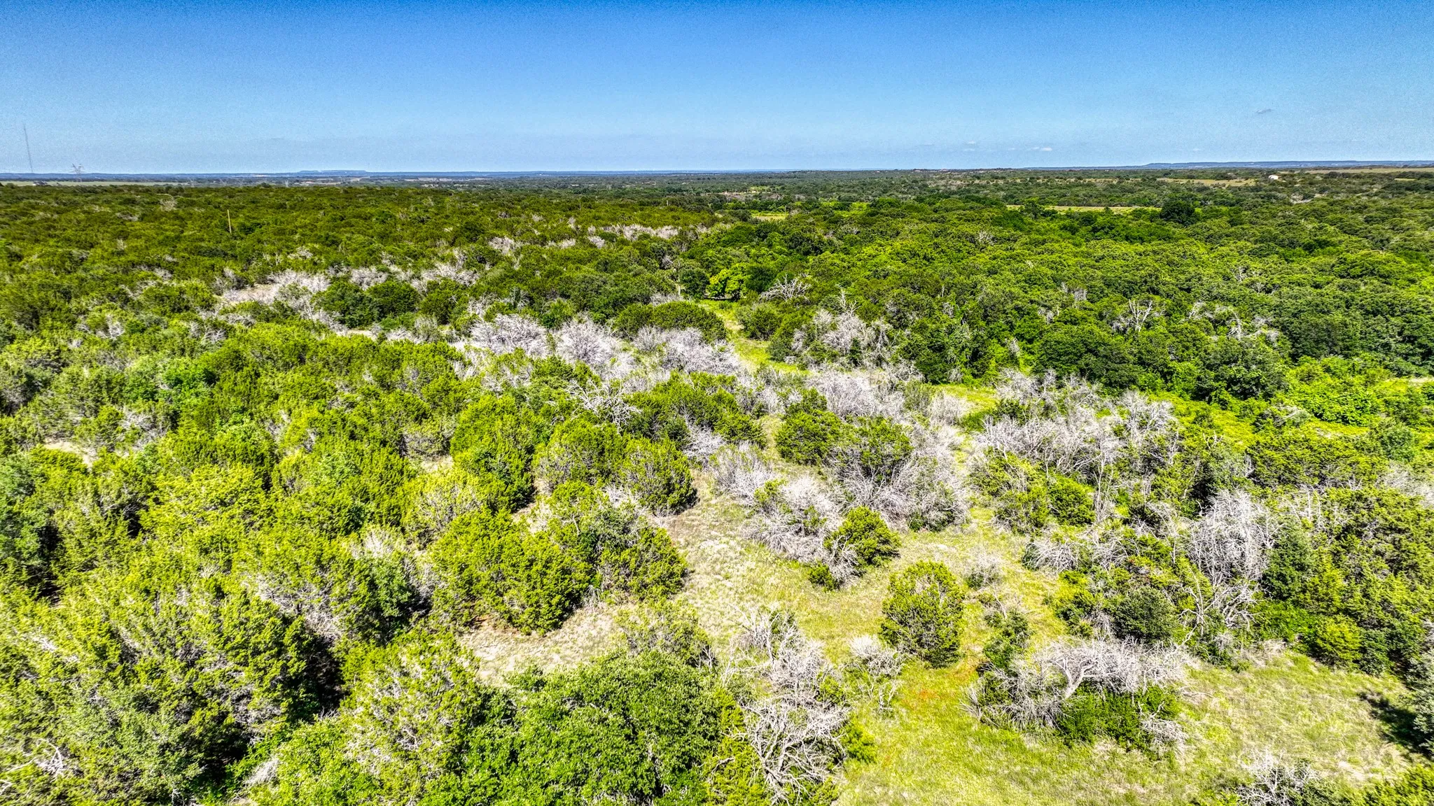 Ranch For Sale in Erath County , 5090 County Road 182, Stephenville, Texas 76401, 0, 0, Garage spaces, 0 Sqft, built in 2019, Price $12,975,000, mls#21299476, Real Estate Agent in Stephenville, Homes For Sale in Erath county, Homes For Sale in Stephenville, Realtor in Stephenville Texas, Real Estate Brokerage Independent Realty Texas, Luminita Cordes Realtor