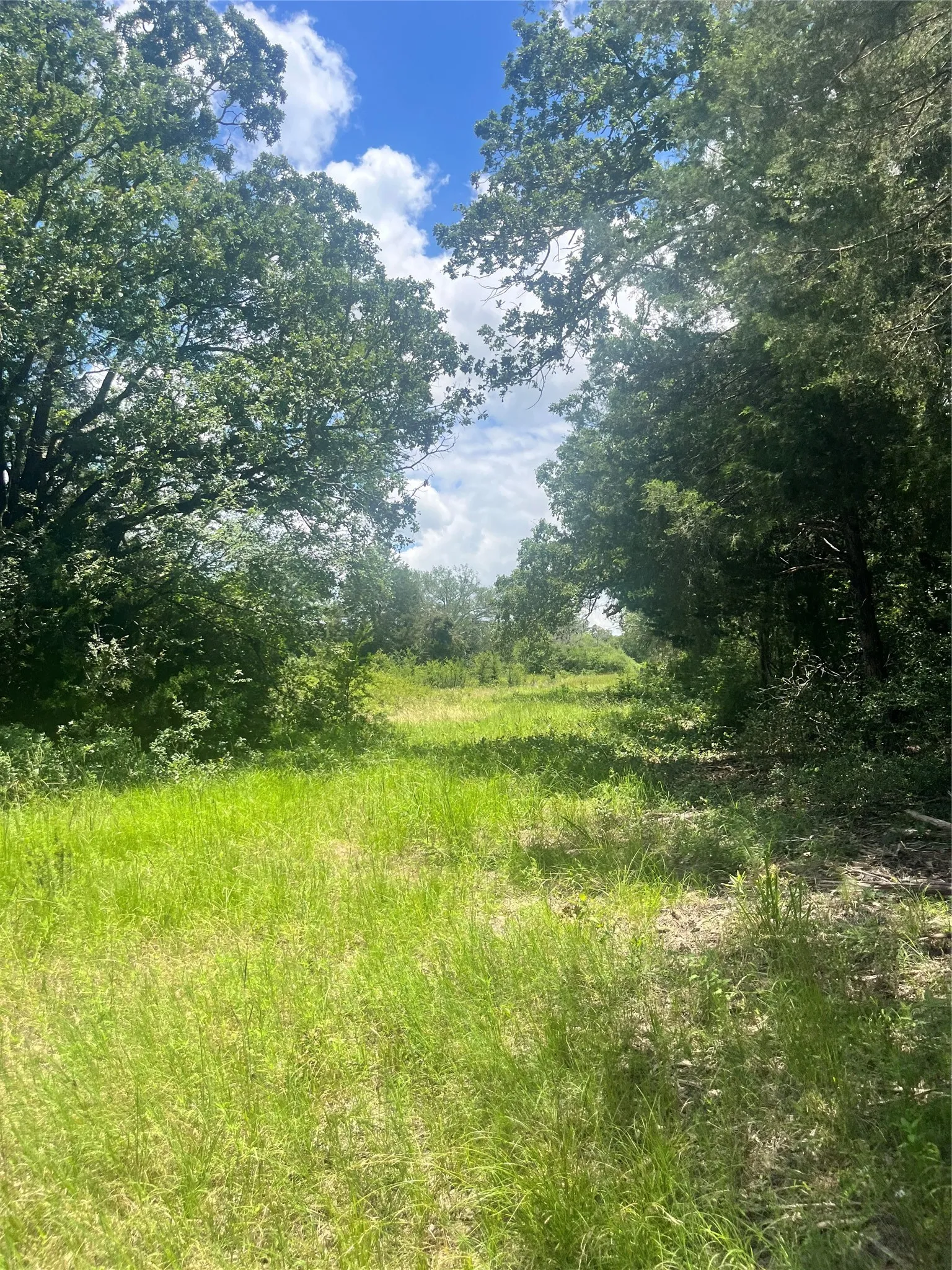 Ranch For Sale in Limestone County , TBD FM 39, Groesbeck, Texas 76642, 0, 0, Garage spaces, 0 Sqft, built in 0, mls#21298120, Real Estate Agent in Groesbeck, Homes For Sale in Limestone county, Homes For Sale in Groesbeck, Realtor in Groesbeck Texas, Real Estate Brokerage Independent Realty Texas, Luminita Cordes Realtor