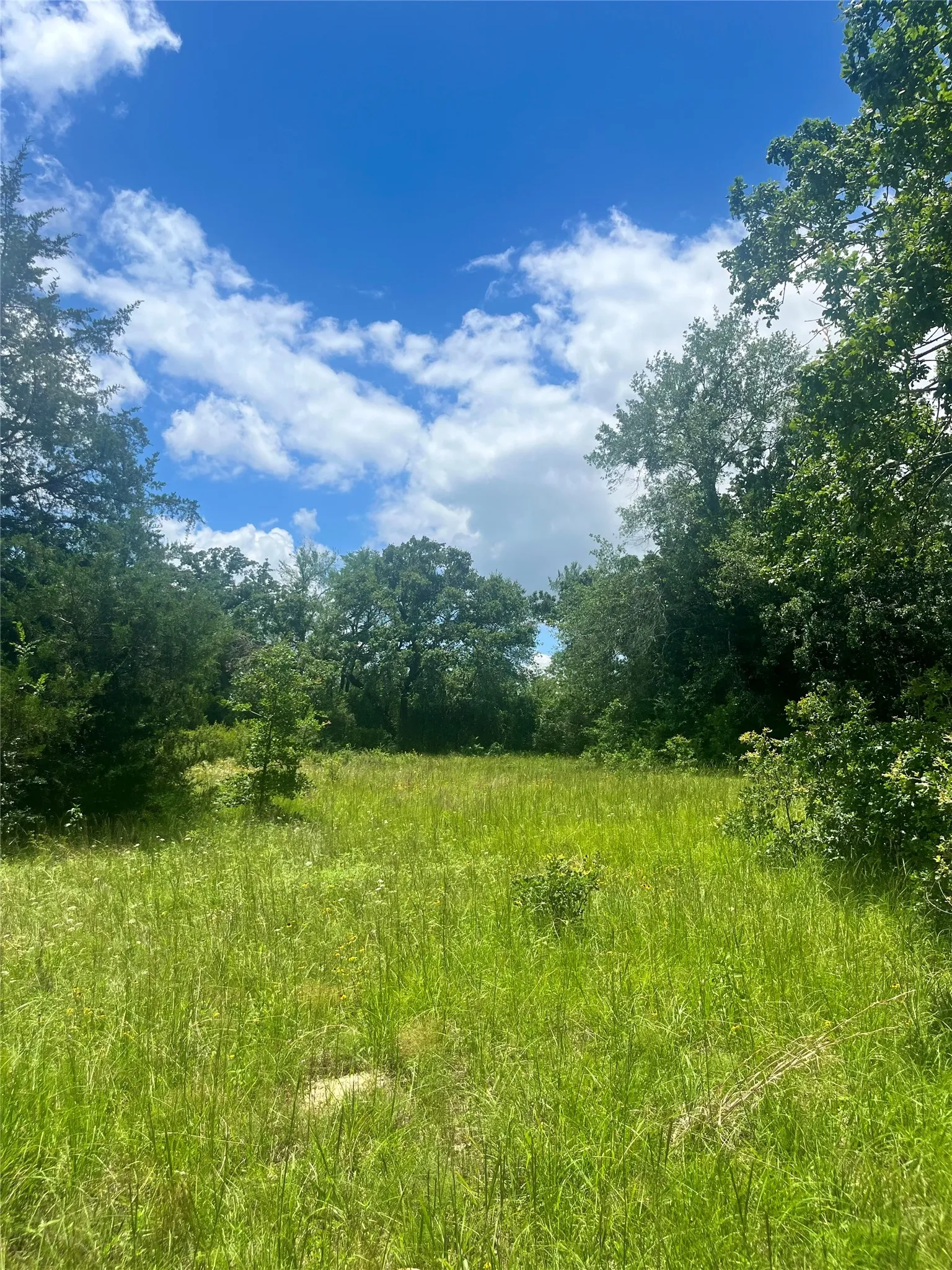 Ranch For Sale in Limestone County , TBD FM 39, Groesbeck, Texas 76642, 0, 0, Garage spaces, 0 Sqft, built in 0, mls#21298120, Real Estate Agent in Groesbeck, Homes For Sale in Limestone county, Homes For Sale in Groesbeck, Realtor in Groesbeck Texas, Real Estate Brokerage Independent Realty Texas, Luminita Cordes Realtor