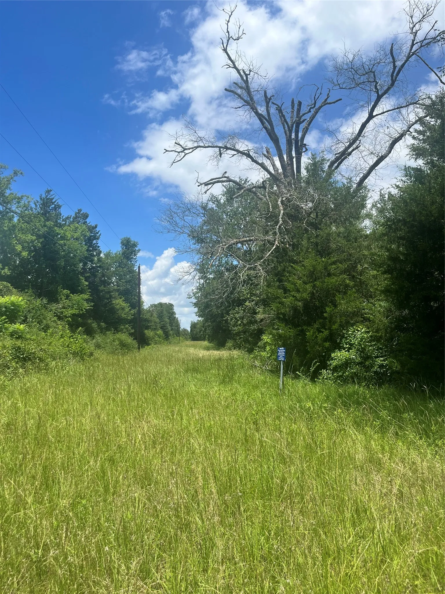 Ranch For Sale in Limestone County , TBD FM 39, Groesbeck, Texas 76642, 0, 0, Garage spaces, 0 Sqft, built in 0, mls#21298120, Real Estate Agent in Groesbeck, Homes For Sale in Limestone county, Homes For Sale in Groesbeck, Realtor in Groesbeck Texas, Real Estate Brokerage Independent Realty Texas, Luminita Cordes Realtor