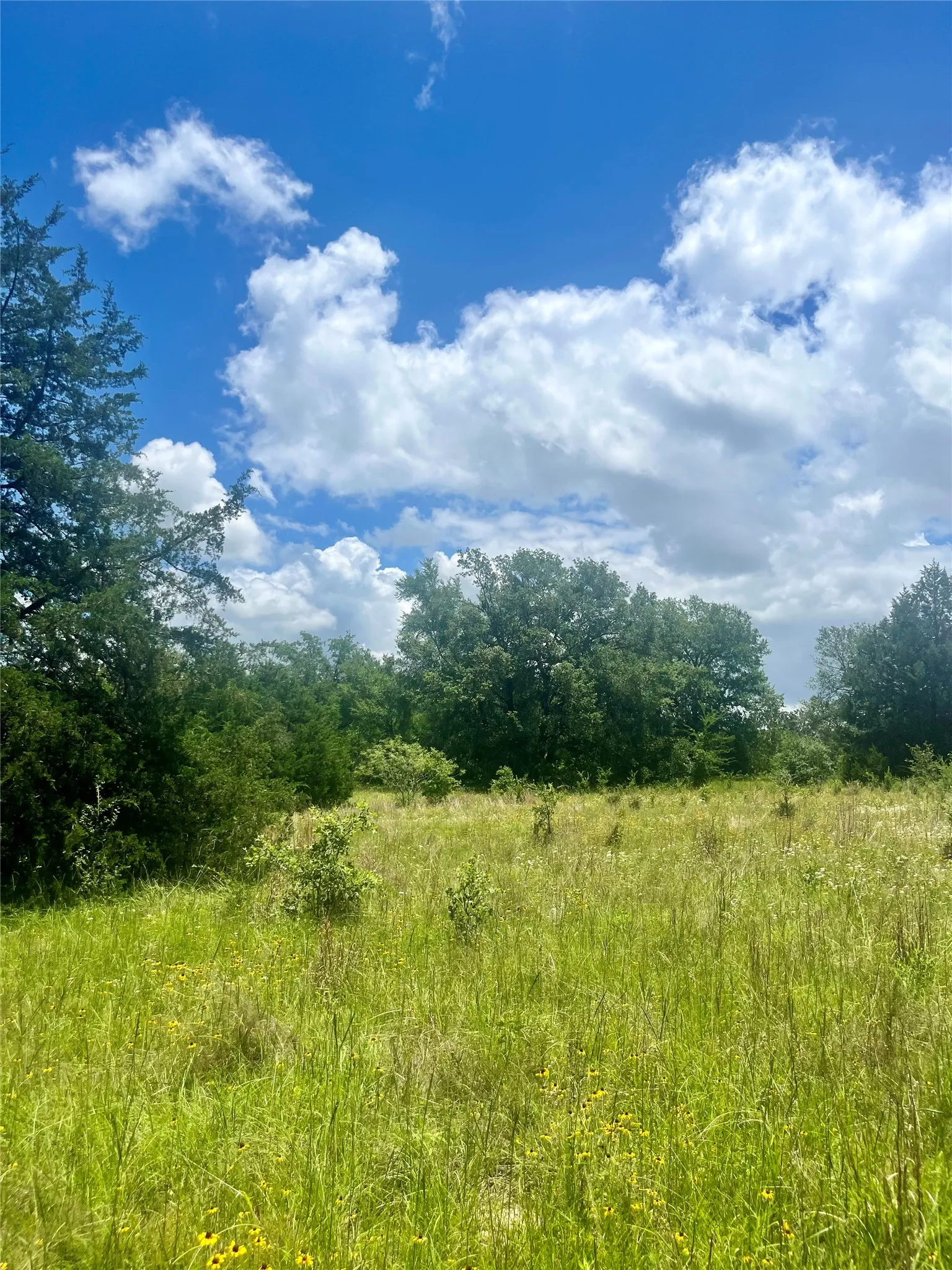Ranch For Sale in Limestone County , TBD FM 39, Groesbeck, Texas 76642, 0, 0, Garage spaces, 0 Sqft, built in 0, mls#21298120, Real Estate Agent in Groesbeck, Homes For Sale in Limestone county, Homes For Sale in Groesbeck, Realtor in Groesbeck Texas, Real Estate Brokerage Independent Realty Texas, Luminita Cordes Realtor