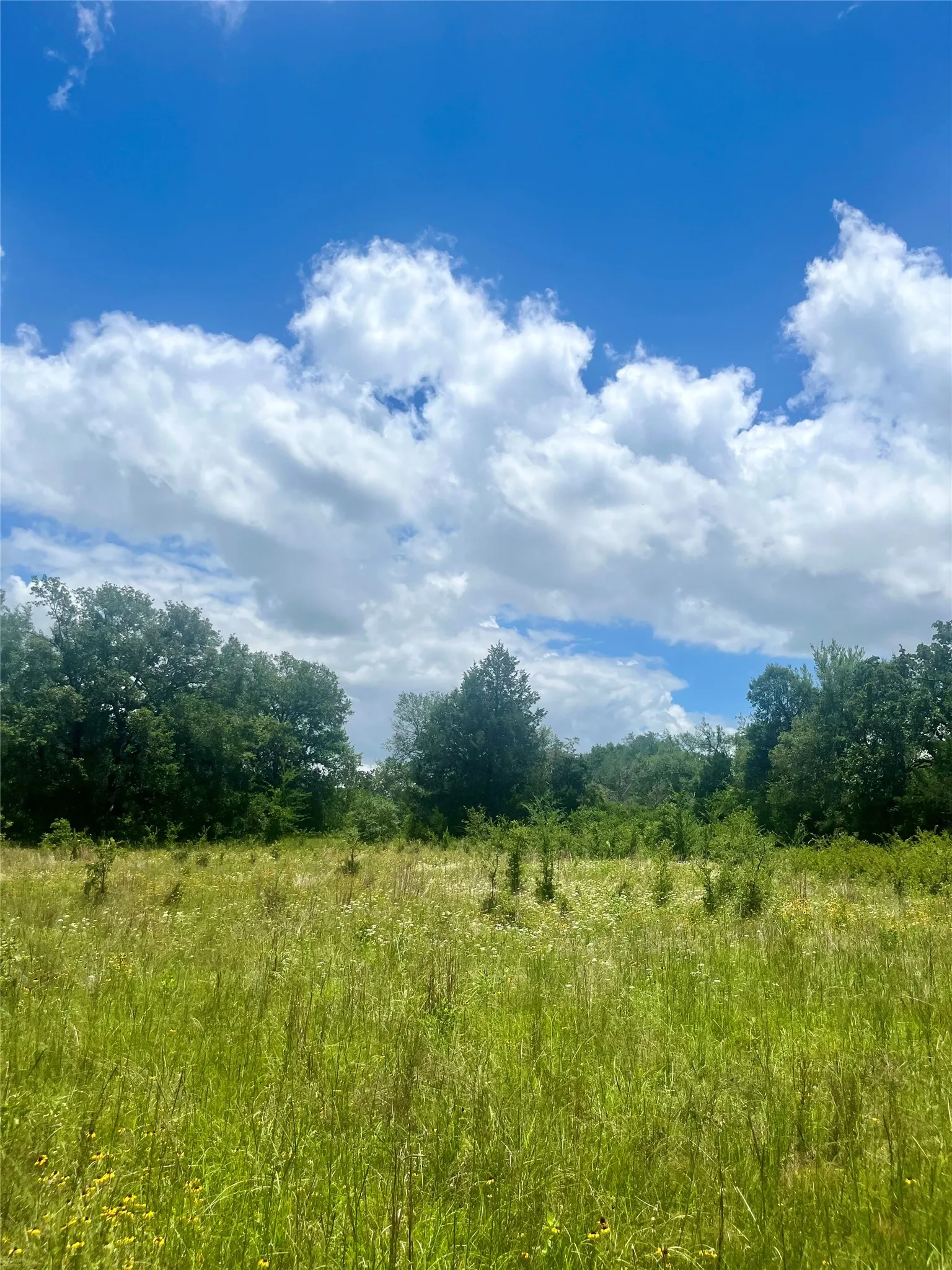 Ranch For Sale in Limestone County , TBD FM 39, Groesbeck, Texas 76642, 0, 0, Garage spaces, 0 Sqft, built in 0, mls#21298120, Real Estate Agent in Groesbeck, Homes For Sale in Limestone county, Homes For Sale in Groesbeck, Realtor in Groesbeck Texas, Real Estate Brokerage Independent Realty Texas, Luminita Cordes Realtor