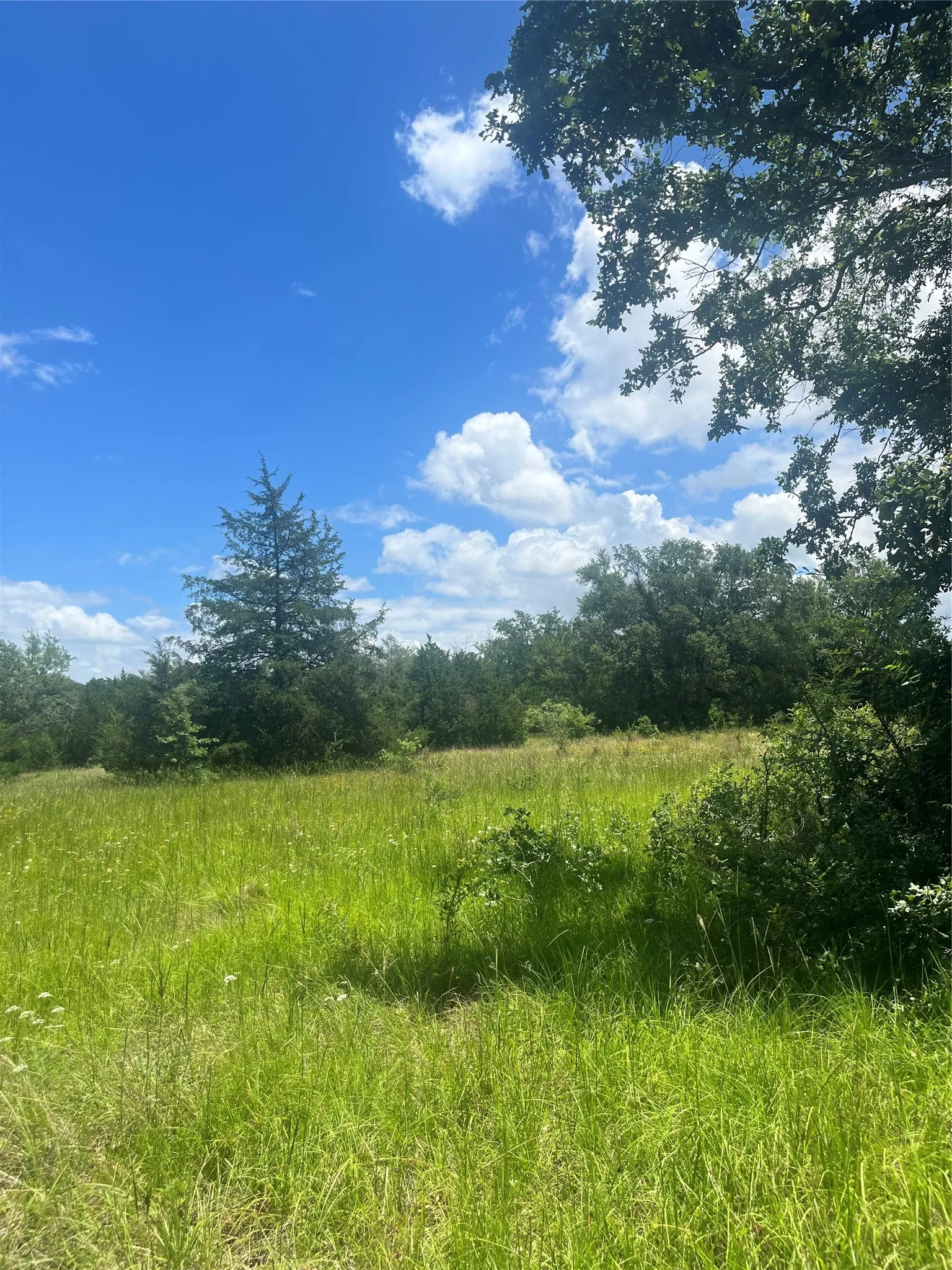Ranch For Sale in Limestone County , TBD FM 39, Groesbeck, Texas 76642, 0, 0, Garage spaces, 0 Sqft, built in 0, mls#21298120, Real Estate Agent in Groesbeck, Homes For Sale in Limestone county, Homes For Sale in Groesbeck, Realtor in Groesbeck Texas, Real Estate Brokerage Independent Realty Texas, Luminita Cordes Realtor