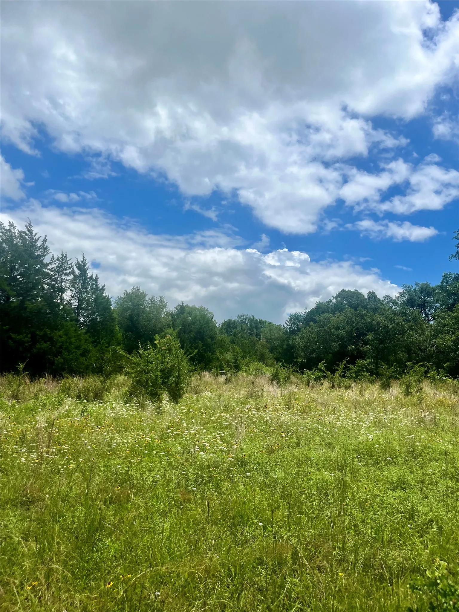 Ranch For Sale in Limestone County , TBD FM 39, Groesbeck, Texas 76642, 0, 0, Garage spaces, 0 Sqft, built in 0, mls#21298120, Real Estate Agent in Groesbeck, Homes For Sale in Limestone county, Homes For Sale in Groesbeck, Realtor in Groesbeck Texas, Real Estate Brokerage Independent Realty Texas, Luminita Cordes Realtor