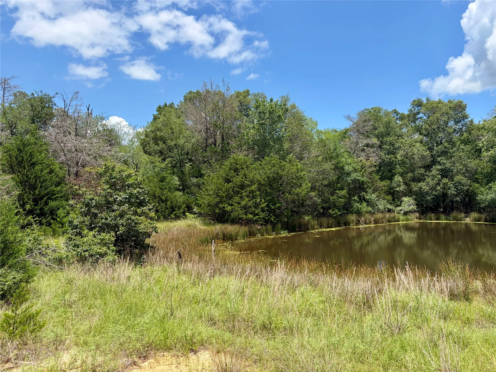 Ranch For Sale in Limestone County , TBD FM 39, Groesbeck, Texas 76642, 0, 0, Garage spaces, 0 Sqft, built in 0, mls#21298120, Real Estate Agent in Groesbeck, Homes For Sale in Limestone county, Homes For Sale in Groesbeck, Realtor in Groesbeck Texas, Real Estate Brokerage Independent Realty Texas, Luminita Cordes Realtor