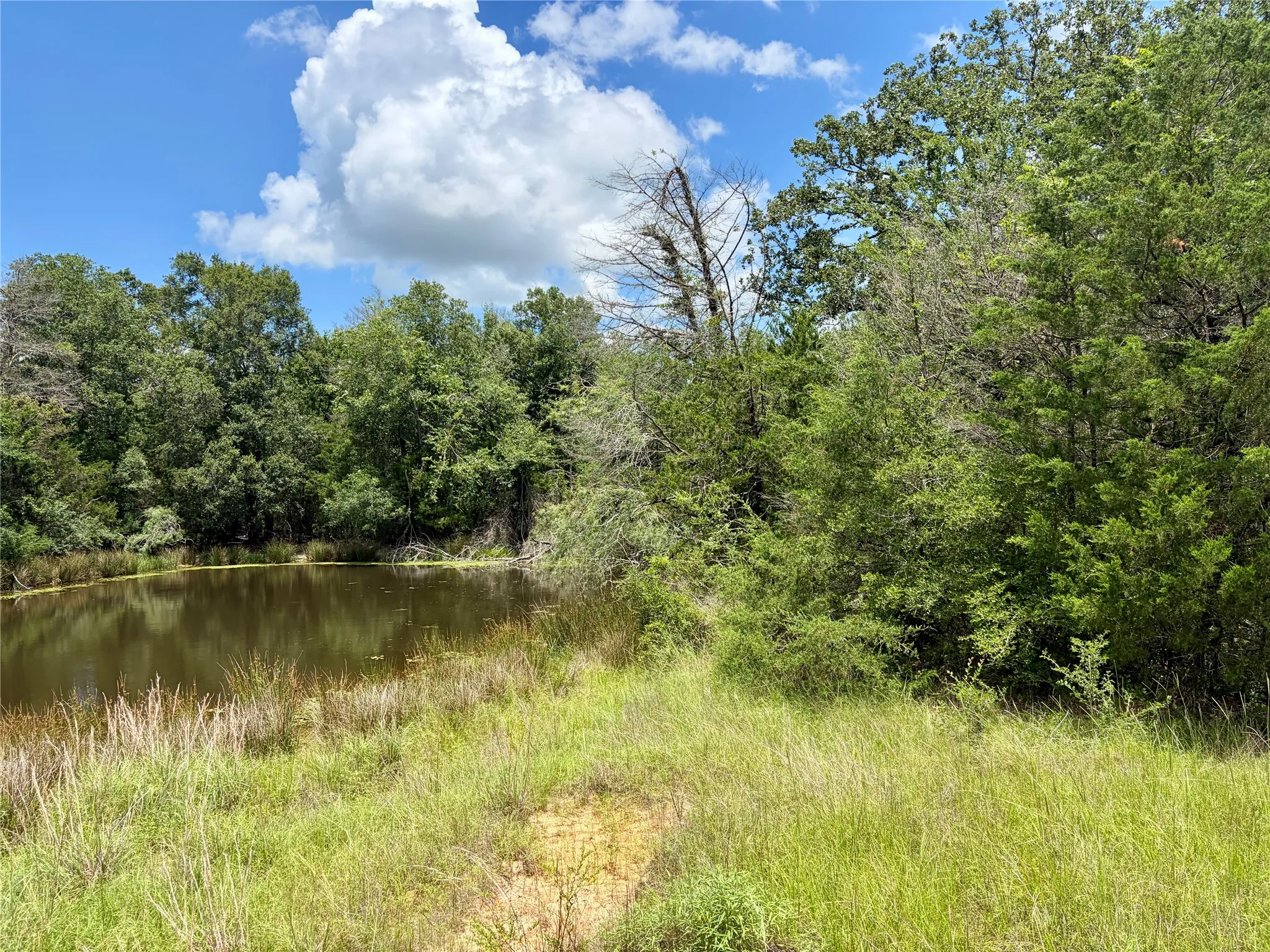 Ranch For Sale in Limestone County , TBD FM 39, Groesbeck, Texas 76642, 0, 0, Garage spaces, 0 Sqft, built in 0, mls#21298120, Real Estate Agent in Groesbeck, Homes For Sale in Limestone county, Homes For Sale in Groesbeck, Realtor in Groesbeck Texas, Real Estate Brokerage Independent Realty Texas, Luminita Cordes Realtor