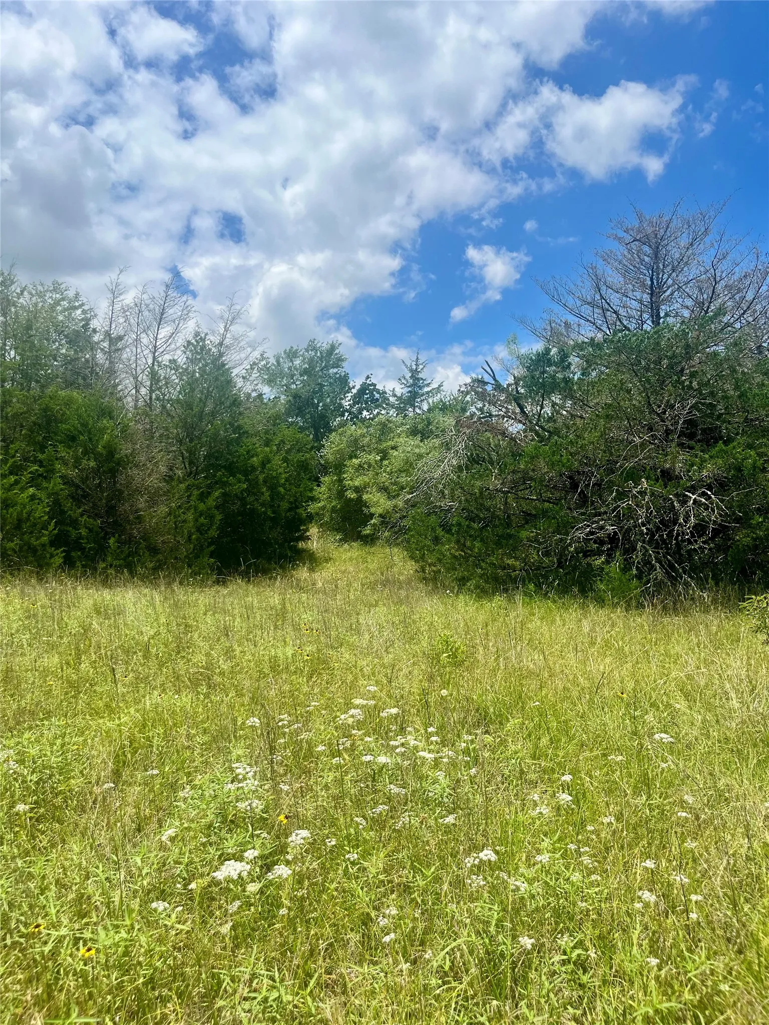 Ranch For Sale in Limestone County , TBD FM 39, Groesbeck, Texas 76642, 0, 0, Garage spaces, 0 Sqft, built in 0, mls#21298120, Real Estate Agent in Groesbeck, Homes For Sale in Limestone county, Homes For Sale in Groesbeck, Realtor in Groesbeck Texas, Real Estate Brokerage Independent Realty Texas, Luminita Cordes Realtor
