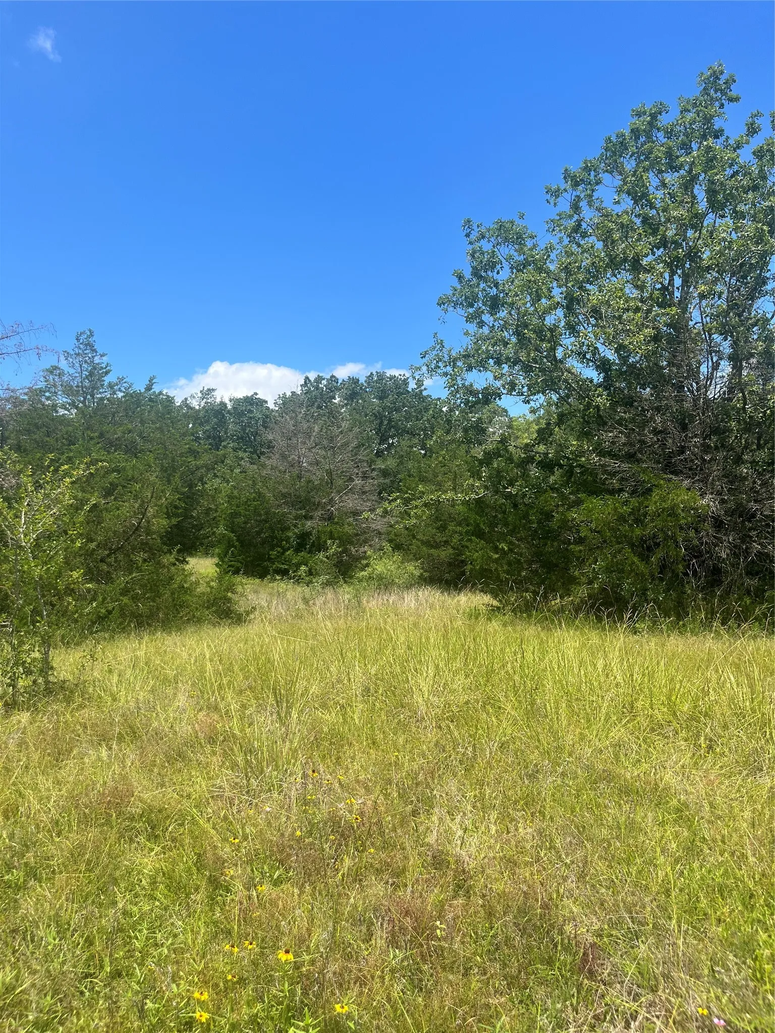 Ranch For Sale in Limestone County , TBD FM 39, Groesbeck, Texas 76642, 0, 0, Garage spaces, 0 Sqft, built in 0, mls#21298120, Real Estate Agent in Groesbeck, Homes For Sale in Limestone county, Homes For Sale in Groesbeck, Realtor in Groesbeck Texas, Real Estate Brokerage Independent Realty Texas, Luminita Cordes Realtor