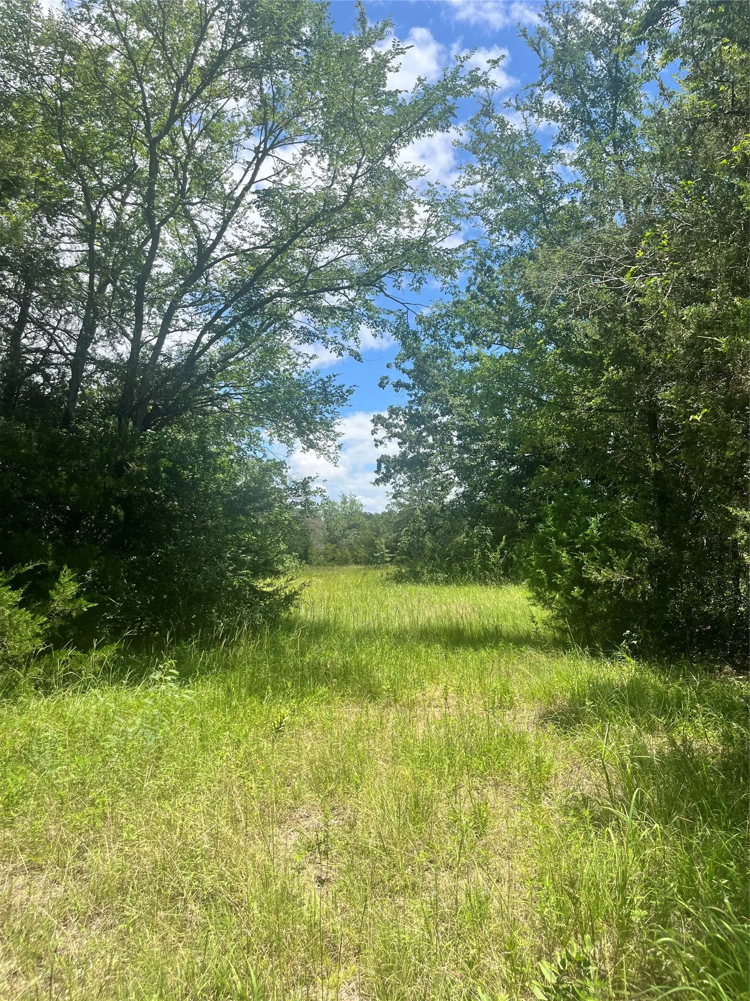 Ranch For Sale in Limestone County , TBD FM 39, Groesbeck, Texas 76642, 0, 0, Garage spaces, 0 Sqft, built in 0, mls#21298120, Real Estate Agent in Groesbeck, Homes For Sale in Limestone county, Homes For Sale in Groesbeck, Realtor in Groesbeck Texas, Real Estate Brokerage Independent Realty Texas, Luminita Cordes Realtor