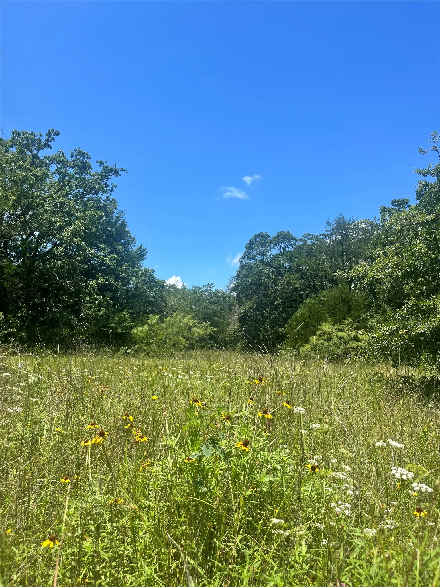 Ranch For Sale in Limestone County , TBD FM 39, Groesbeck, Texas 76642, 0, 0, Garage spaces, 0 Sqft, built in 0, mls#21298120, Real Estate Agent in Groesbeck, Homes For Sale in Limestone county, Homes For Sale in Groesbeck, Realtor in Groesbeck Texas, Real Estate Brokerage Independent Realty Texas, Luminita Cordes Realtor