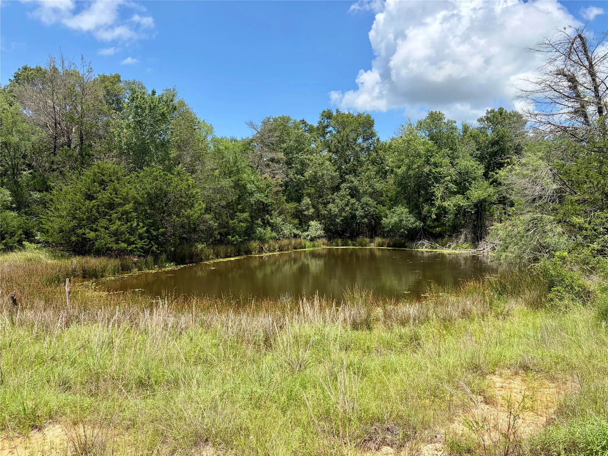 Ranch For Sale in Limestone County , TBD FM 39, Groesbeck, Texas 76642, 0, 0, Garage spaces, 0 Sqft, built in 0, mls#21298120, Real Estate Agent in Groesbeck, Homes For Sale in Limestone county, Homes For Sale in Groesbeck, Realtor in Groesbeck Texas, Real Estate Brokerage Independent Realty Texas, Luminita Cordes Realtor