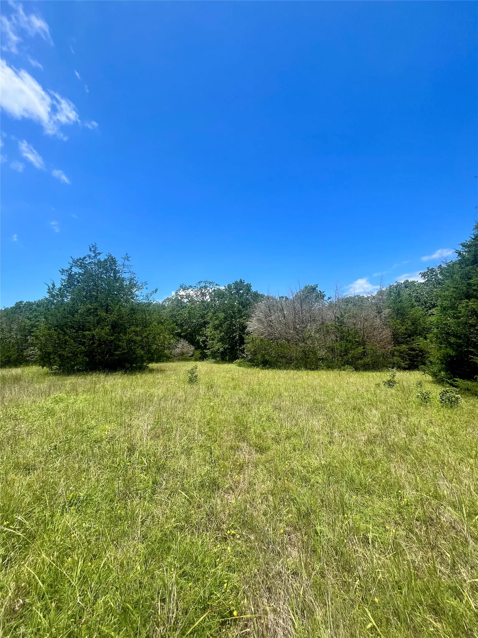 Ranch For Sale in Limestone County , TBD FM 39, Groesbeck, Texas 76642, 0, 0, Garage spaces, 0 Sqft, built in 0, mls#21298120, Real Estate Agent in Groesbeck, Homes For Sale in Limestone county, Homes For Sale in Groesbeck, Realtor in Groesbeck Texas, Real Estate Brokerage Independent Realty Texas, Luminita Cordes Realtor
