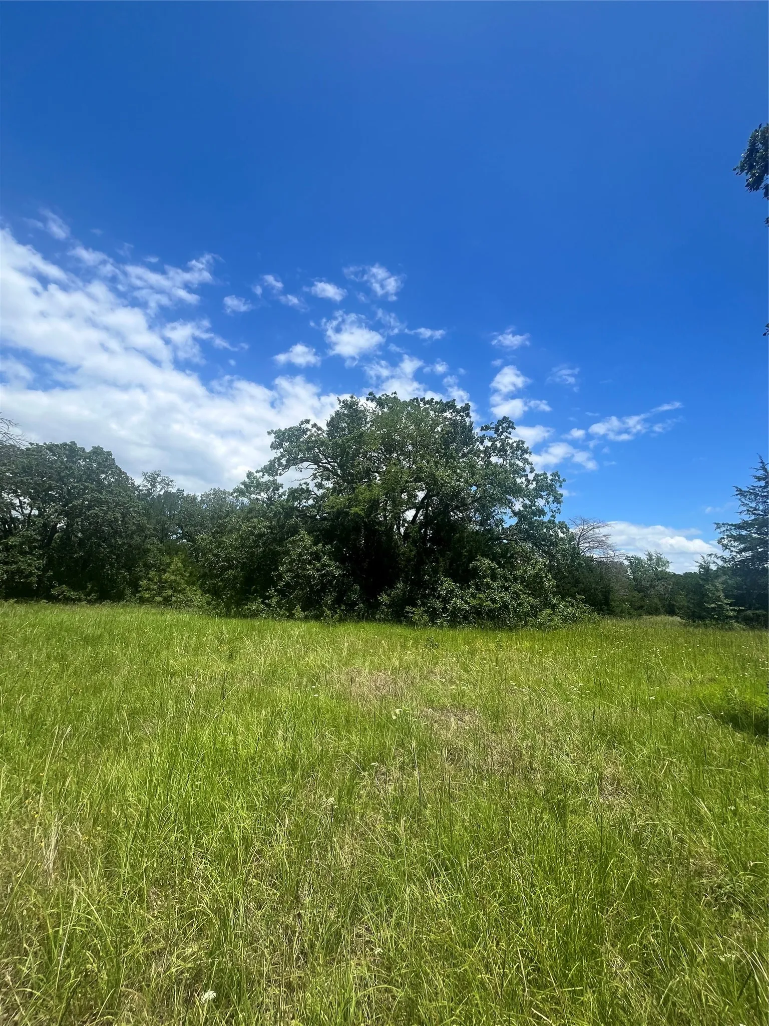 Ranch For Sale in Limestone County , TBD FM 39, Groesbeck, Texas 76642, 0, 0, Garage spaces, 0 Sqft, built in 0, mls#21298120, Real Estate Agent in Groesbeck, Homes For Sale in Limestone county, Homes For Sale in Groesbeck, Realtor in Groesbeck Texas, Real Estate Brokerage Independent Realty Texas, Luminita Cordes Realtor
