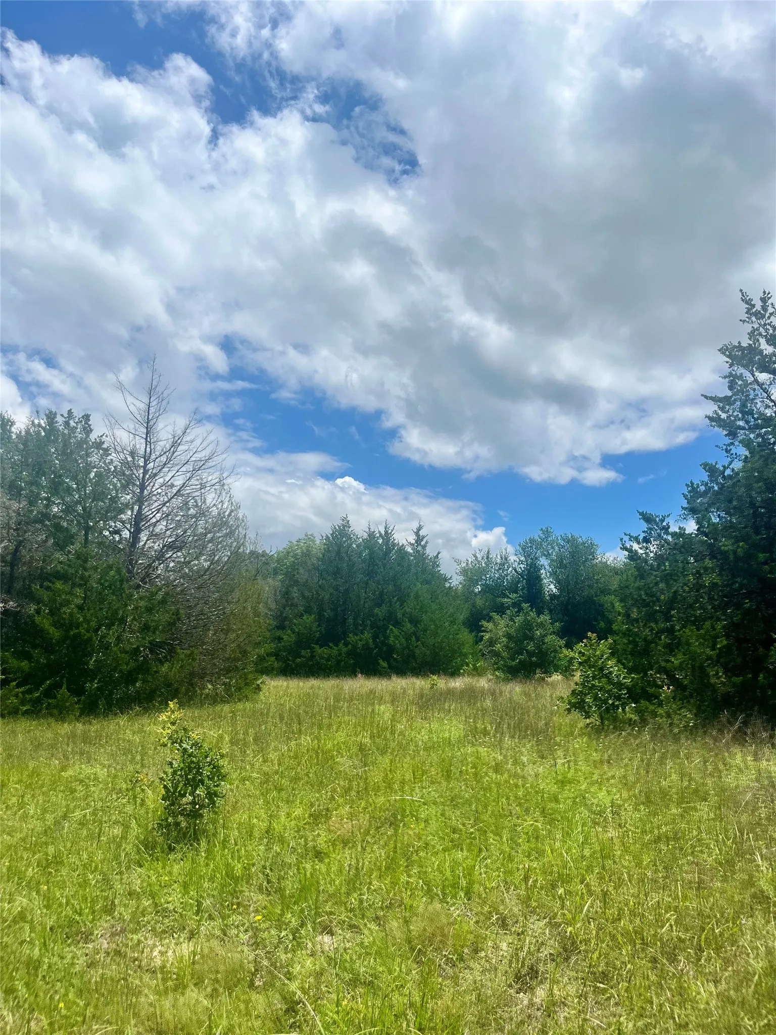 Ranch For Sale in Limestone County , TBD FM 39, Groesbeck, Texas 76642, 0, 0, Garage spaces, 0 Sqft, built in 0, mls#21298120, Real Estate Agent in Groesbeck, Homes For Sale in Limestone county, Homes For Sale in Groesbeck, Realtor in Groesbeck Texas, Real Estate Brokerage Independent Realty Texas, Luminita Cordes Realtor